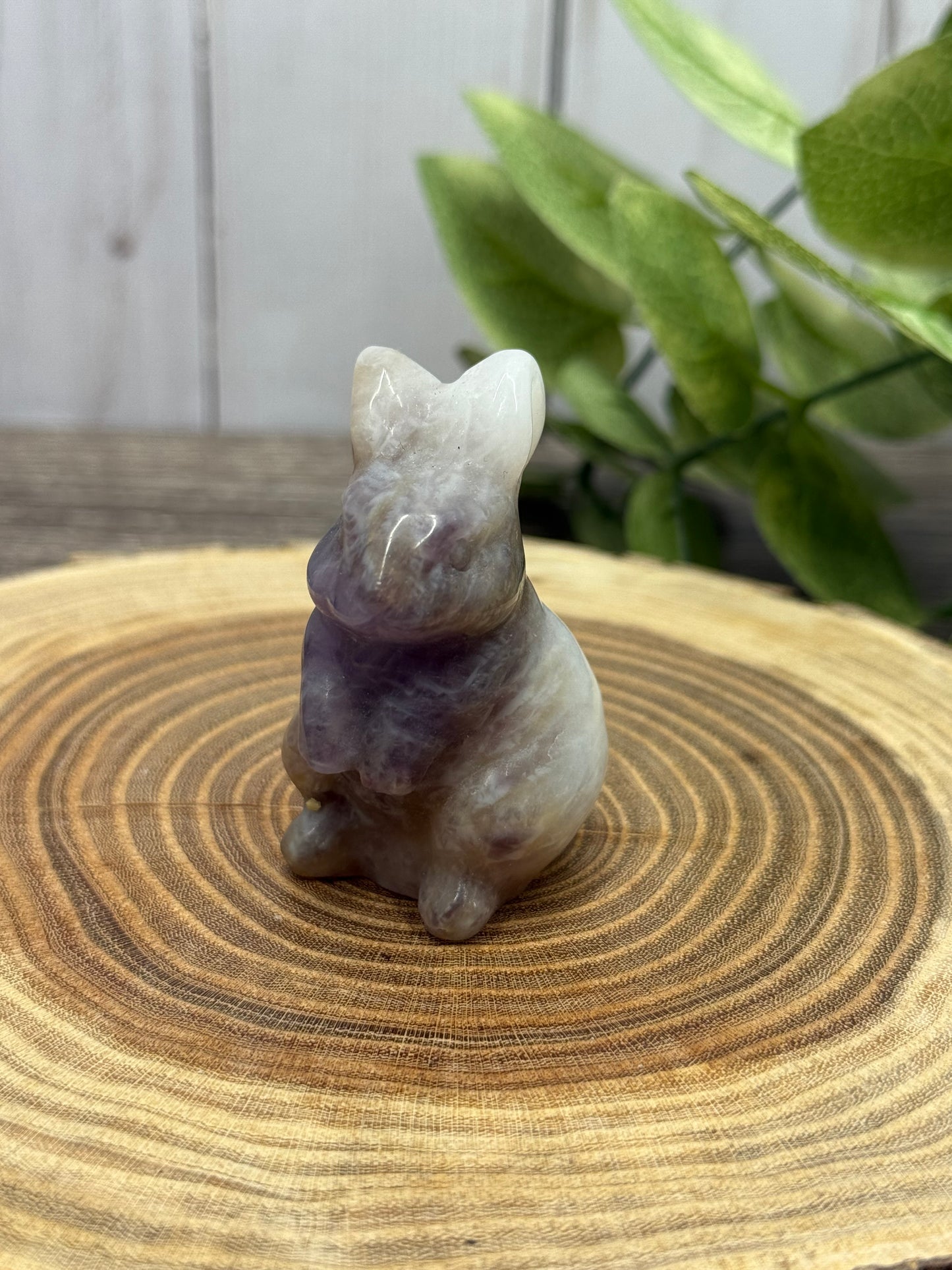 Rabbit Carvings