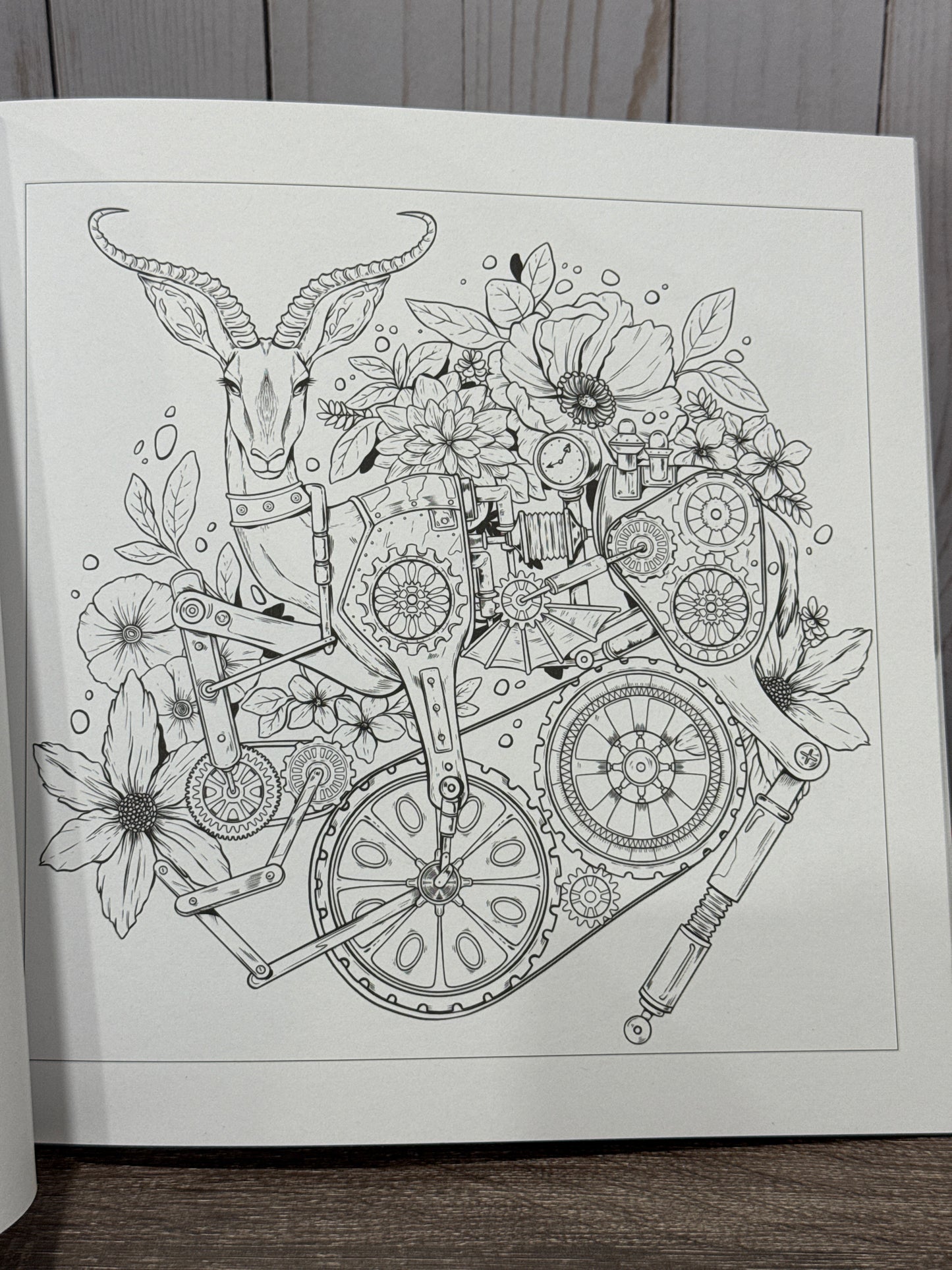 Mythographic Color and Discover Menagerie An Artist's Coloring Book of Amazing Animals