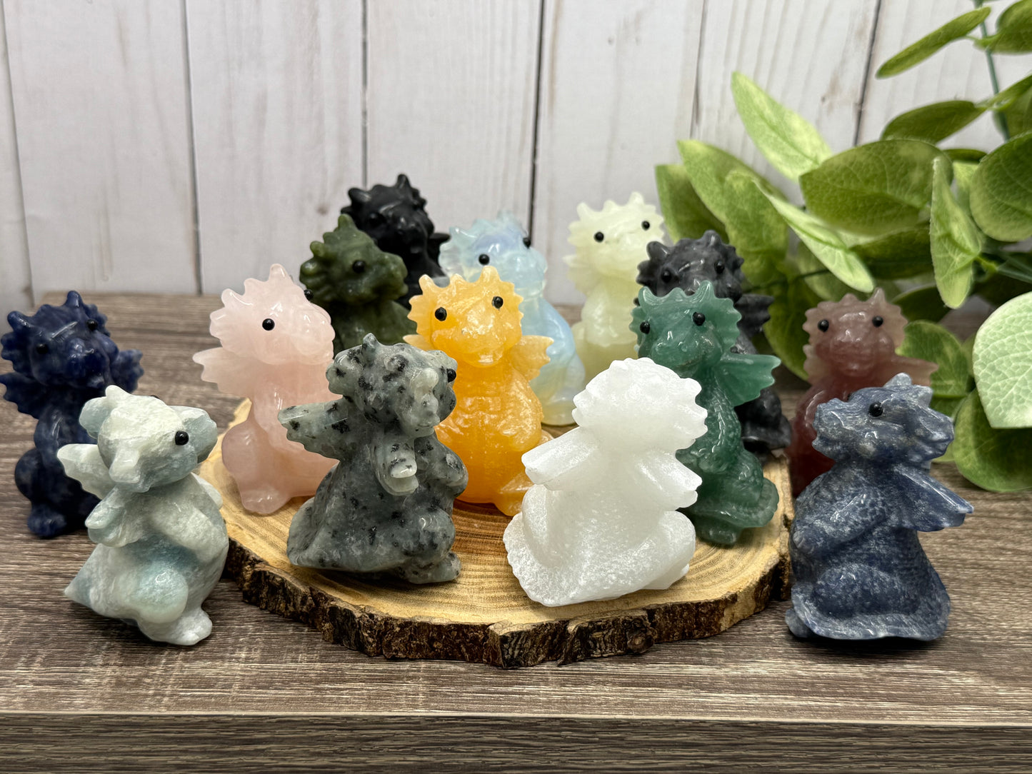 Baby Dragon - Small