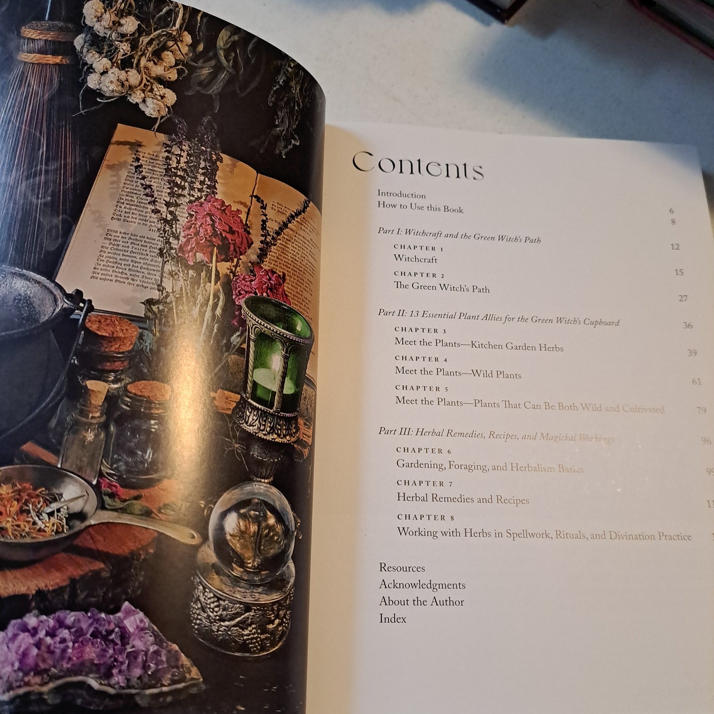Green Witch Magick: Essential Plants and Crafty Spellwork for a Witch’s Cupboard