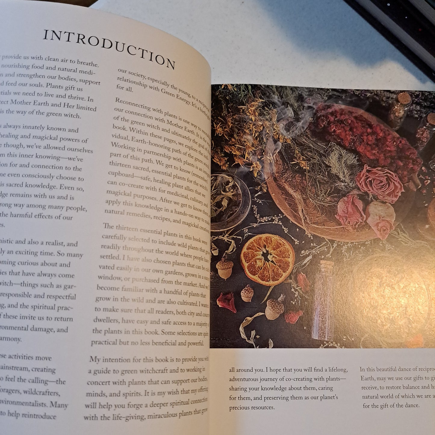 Green Witch Magick: Essential Plants and Crafty Spellwork for a Witch’s Cupboard