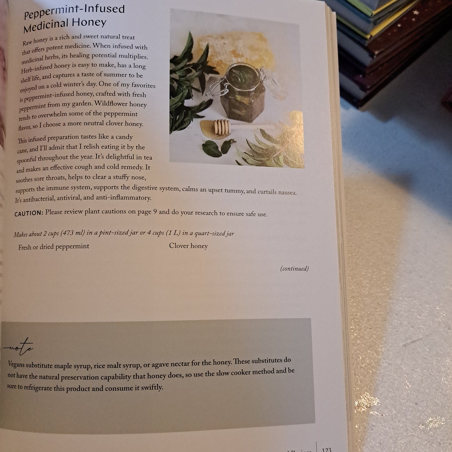 Green Witch Magick: Essential Plants and Crafty Spellwork for a Witch’s Cupboard