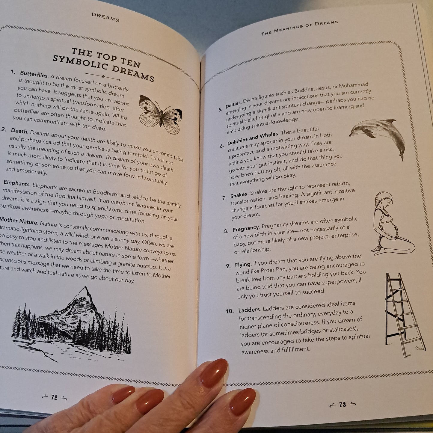 In Focus Dreams: Your Personal Guide (In Focus, Bk. 17)