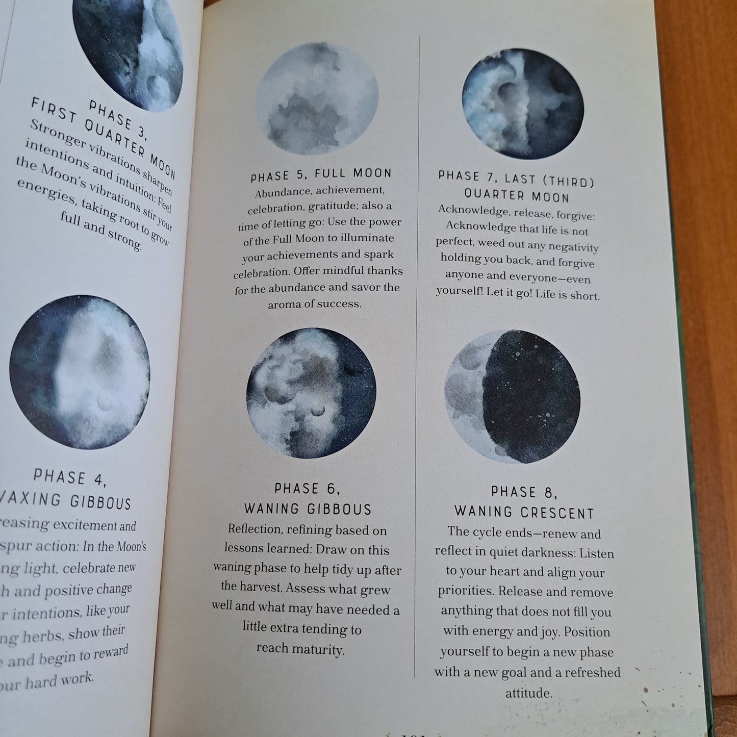 Herbal Magic Journal: Spells, Rituals, and Writing Prompts for the Budding Green Witch (Mystical Handbook, Bk. 12)