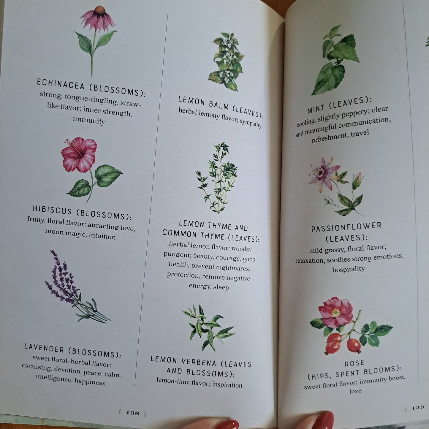 Herbal Magic Journal: Spells, Rituals, and Writing Prompts for the Budding Green Witch (Mystical Handbook, Bk. 12)