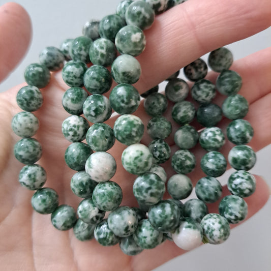 Tree Agate -  Bracelet 6 mm