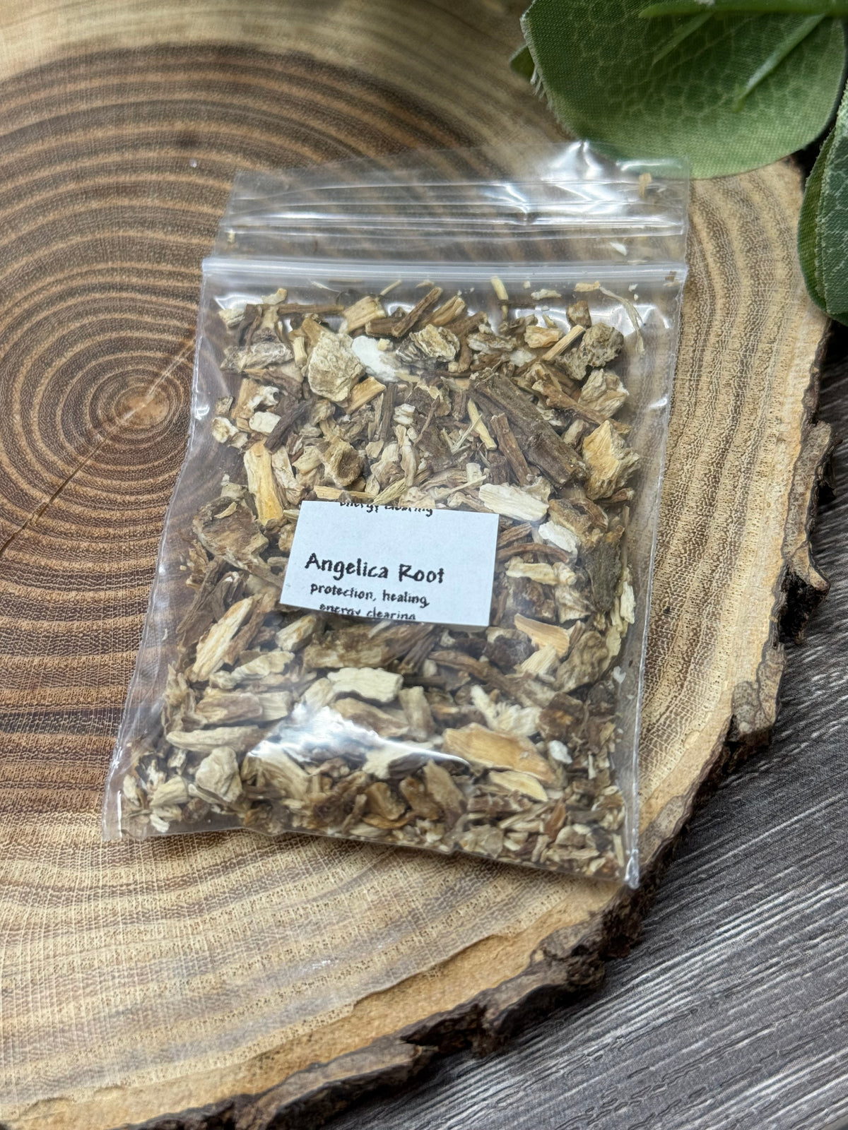 Angelica Root - Magick Herbs (Bagged)