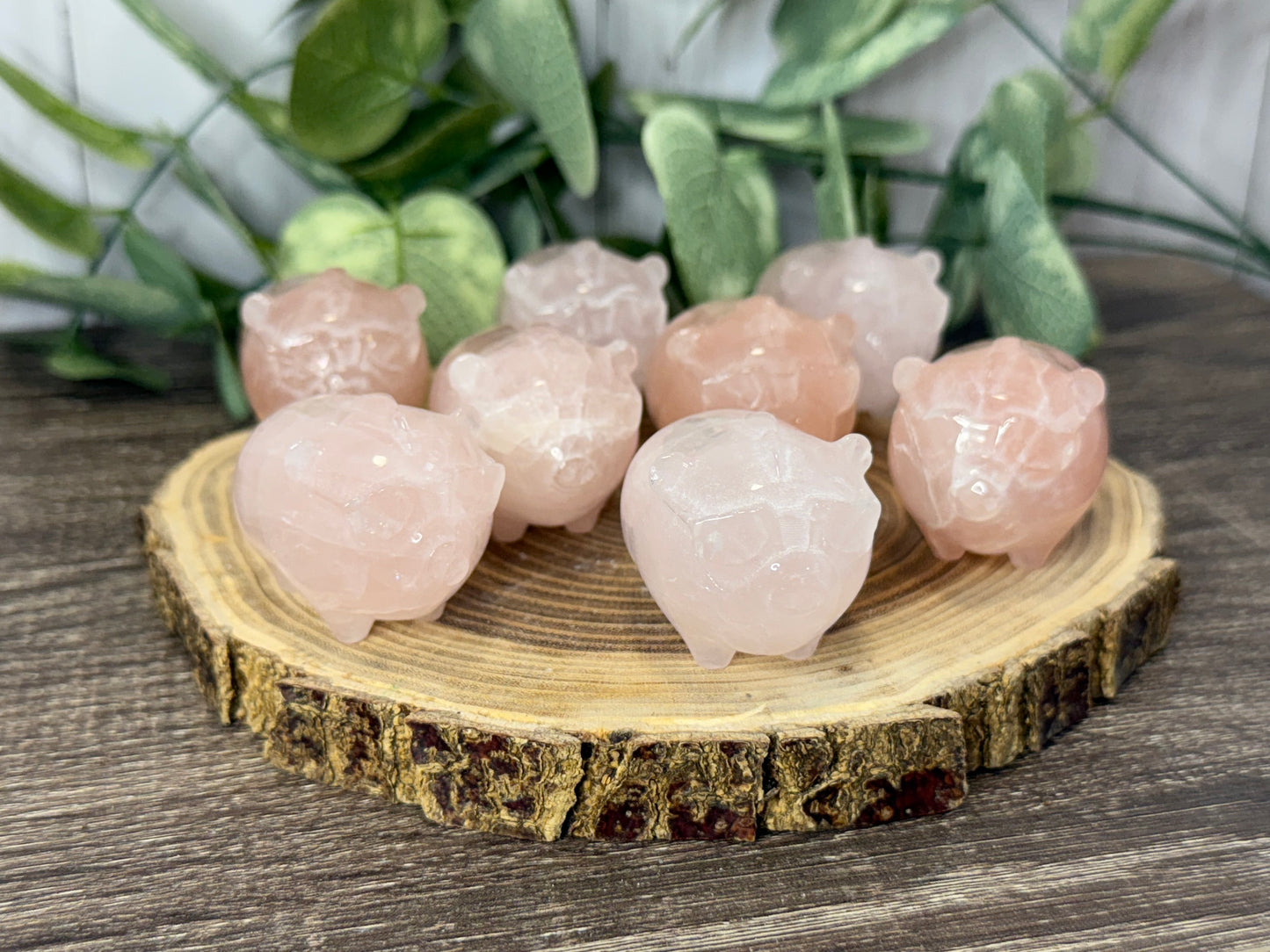 Pig with Mohawk Sunglasses - Rose Quartz