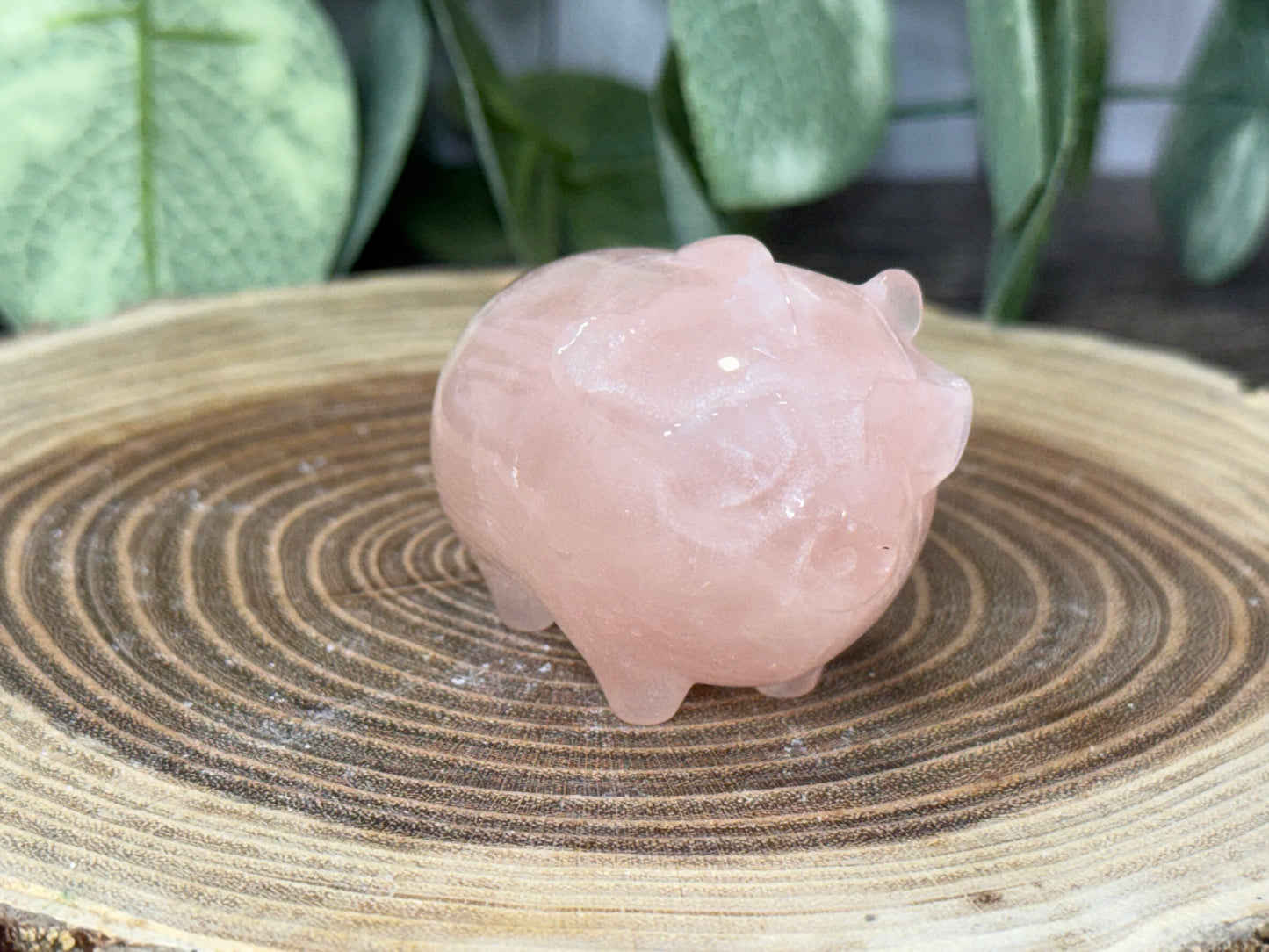 Pig with Mohawk Sunglasses - Rose Quartz