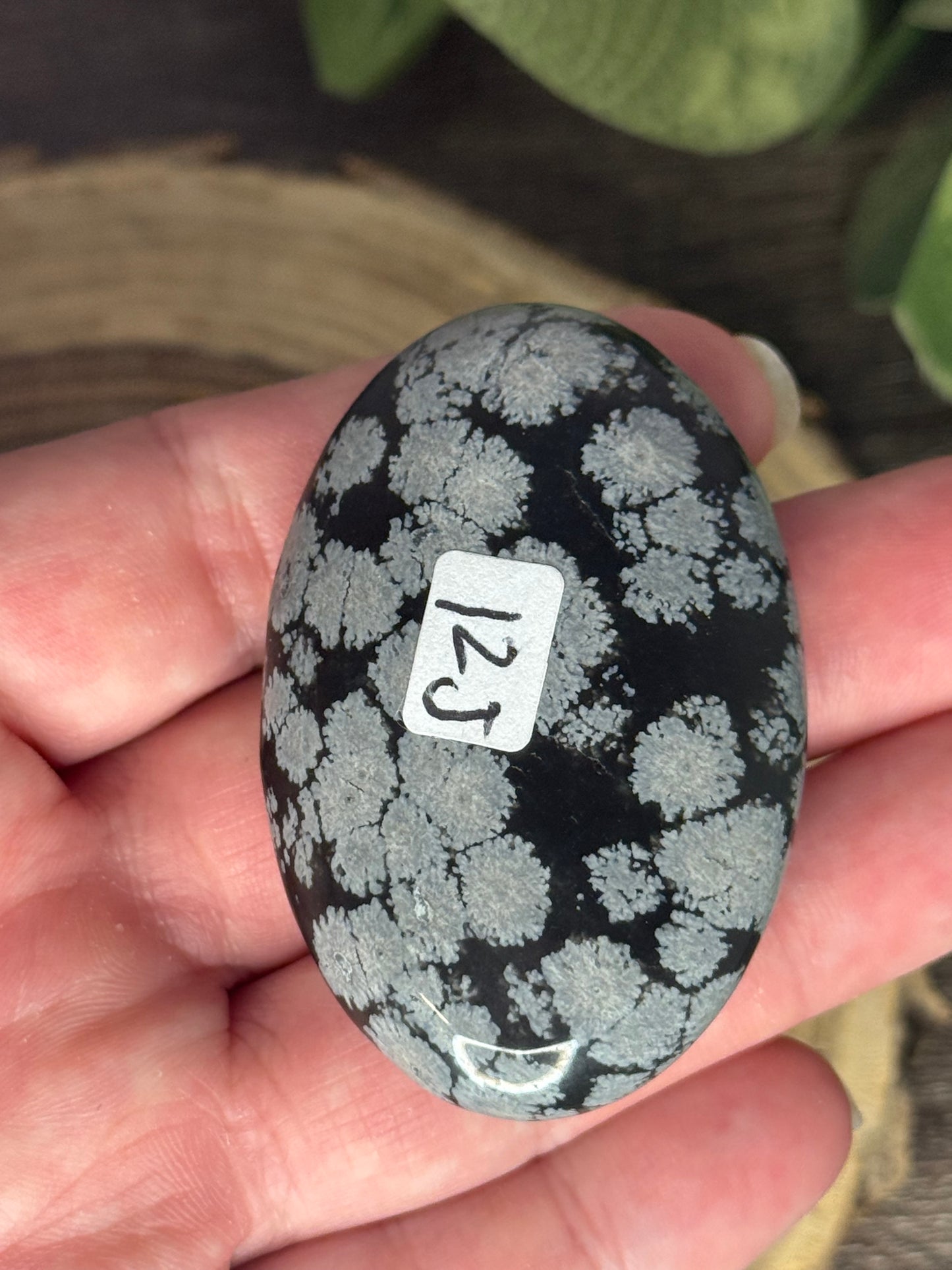 Snowflake Obsidian Palm Stones