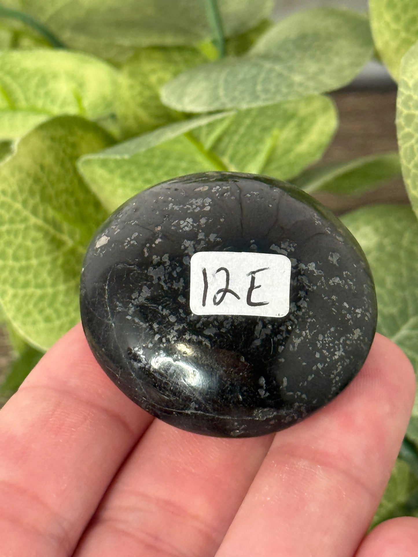 Shungite Palm Stones