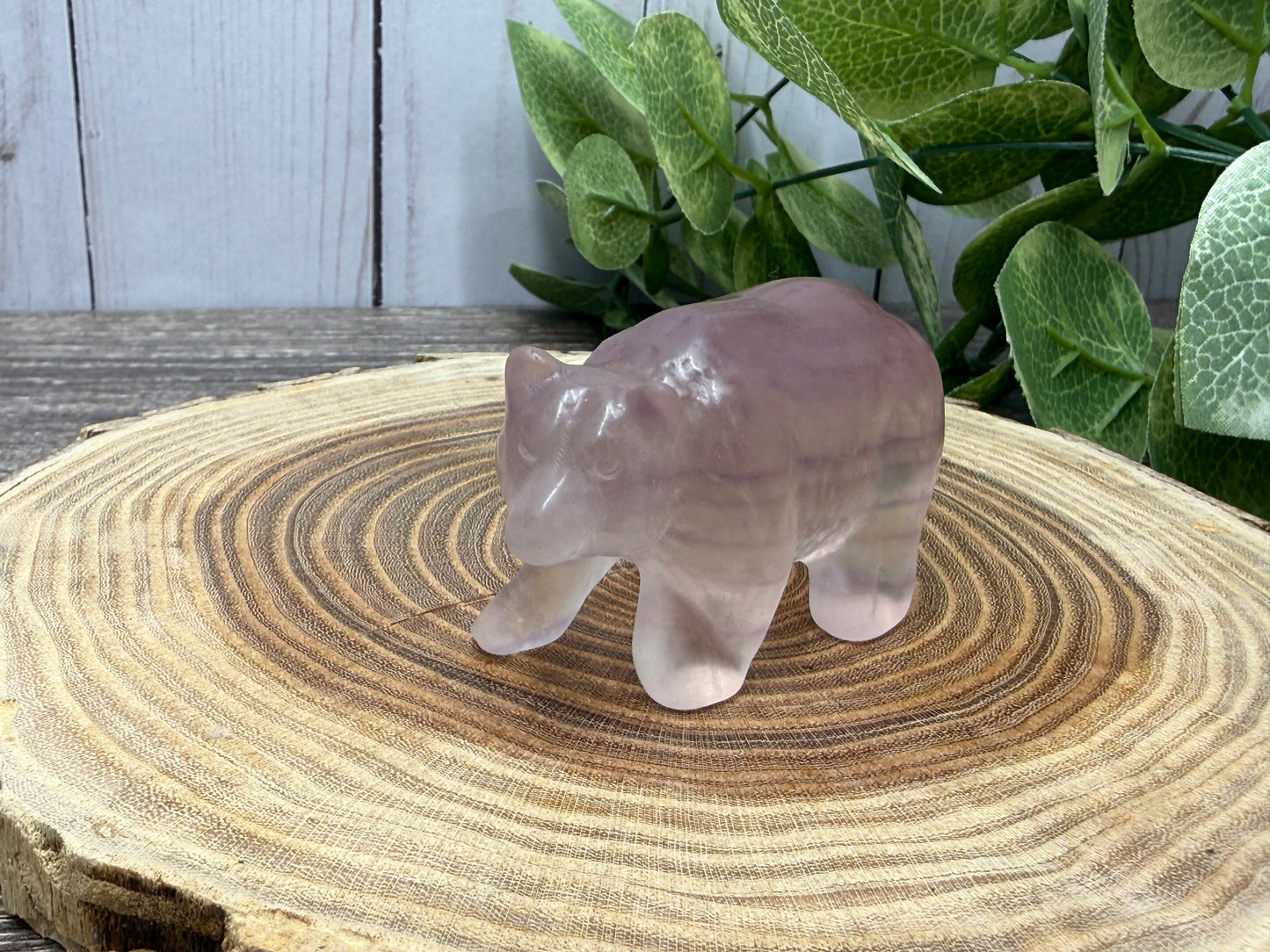 Fluorite Bear Carvings