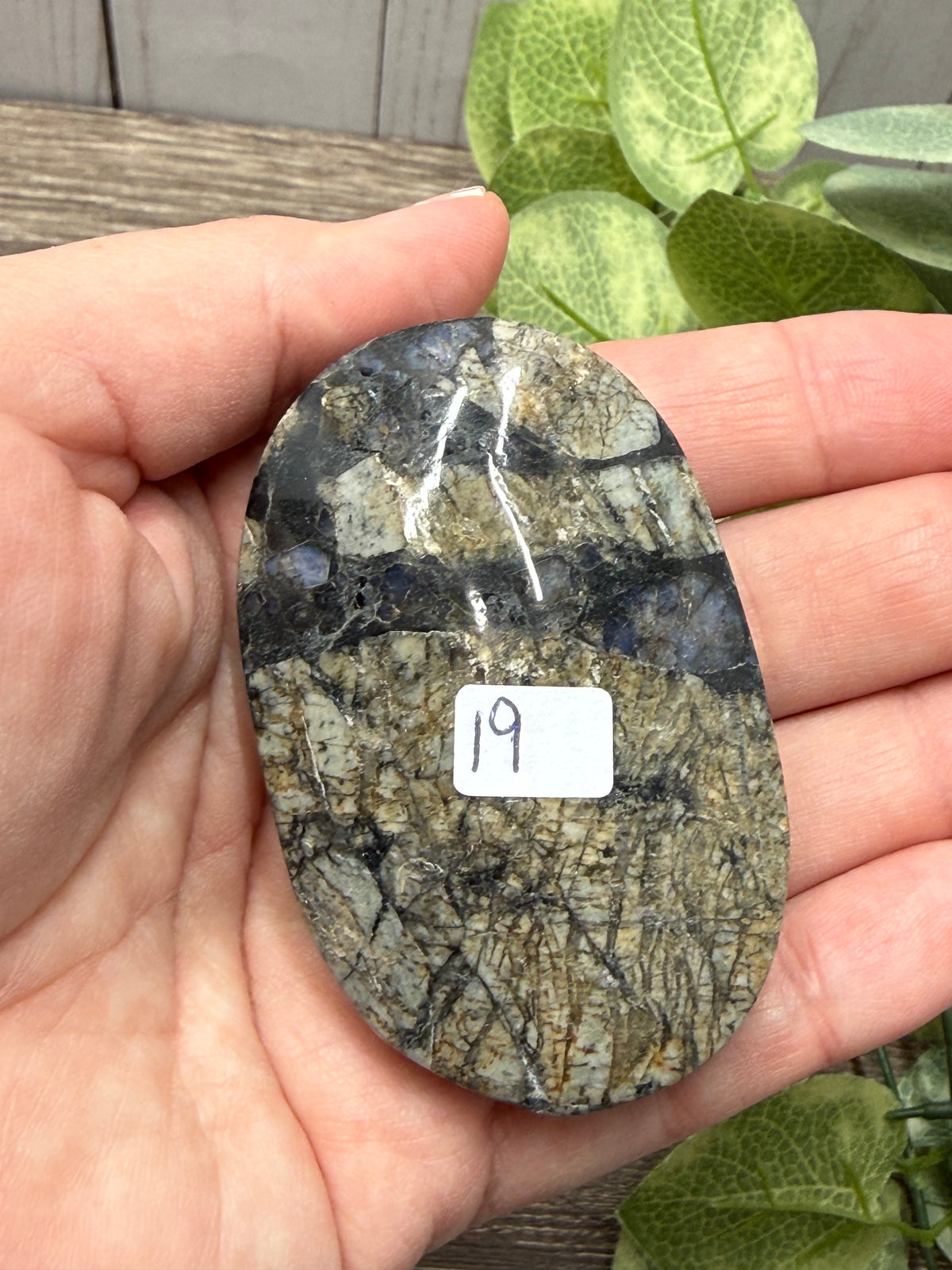 Quesera Palm Stones