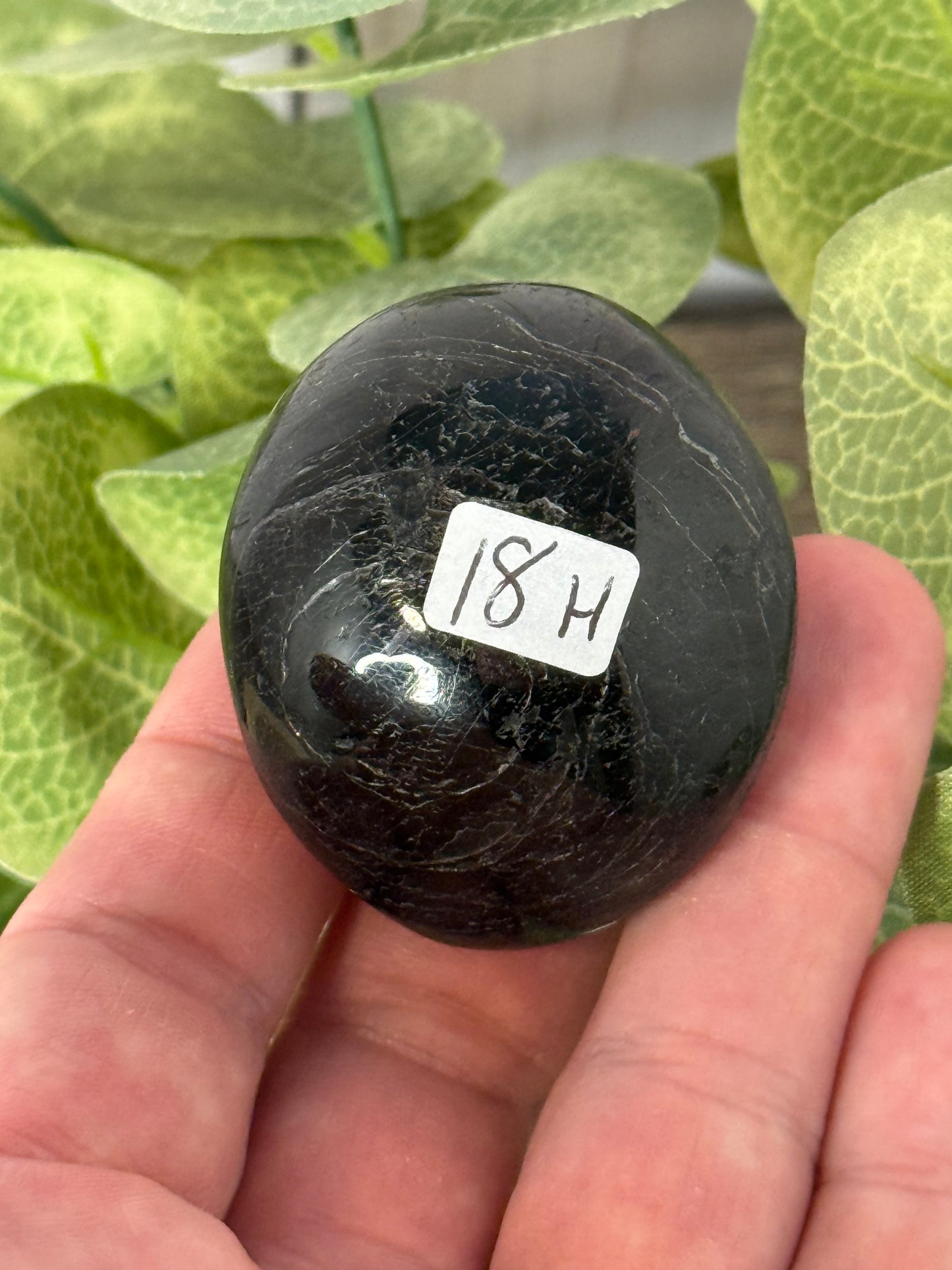 Shungite Palm Stones