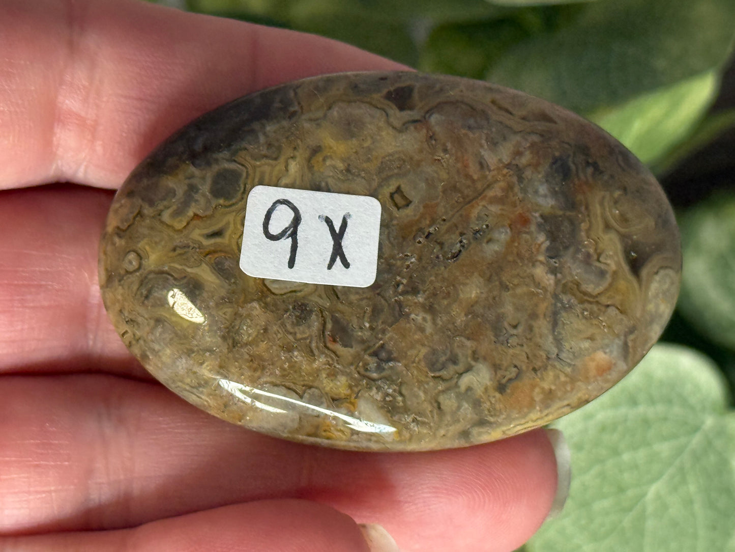 Lace Agate Palm Stones