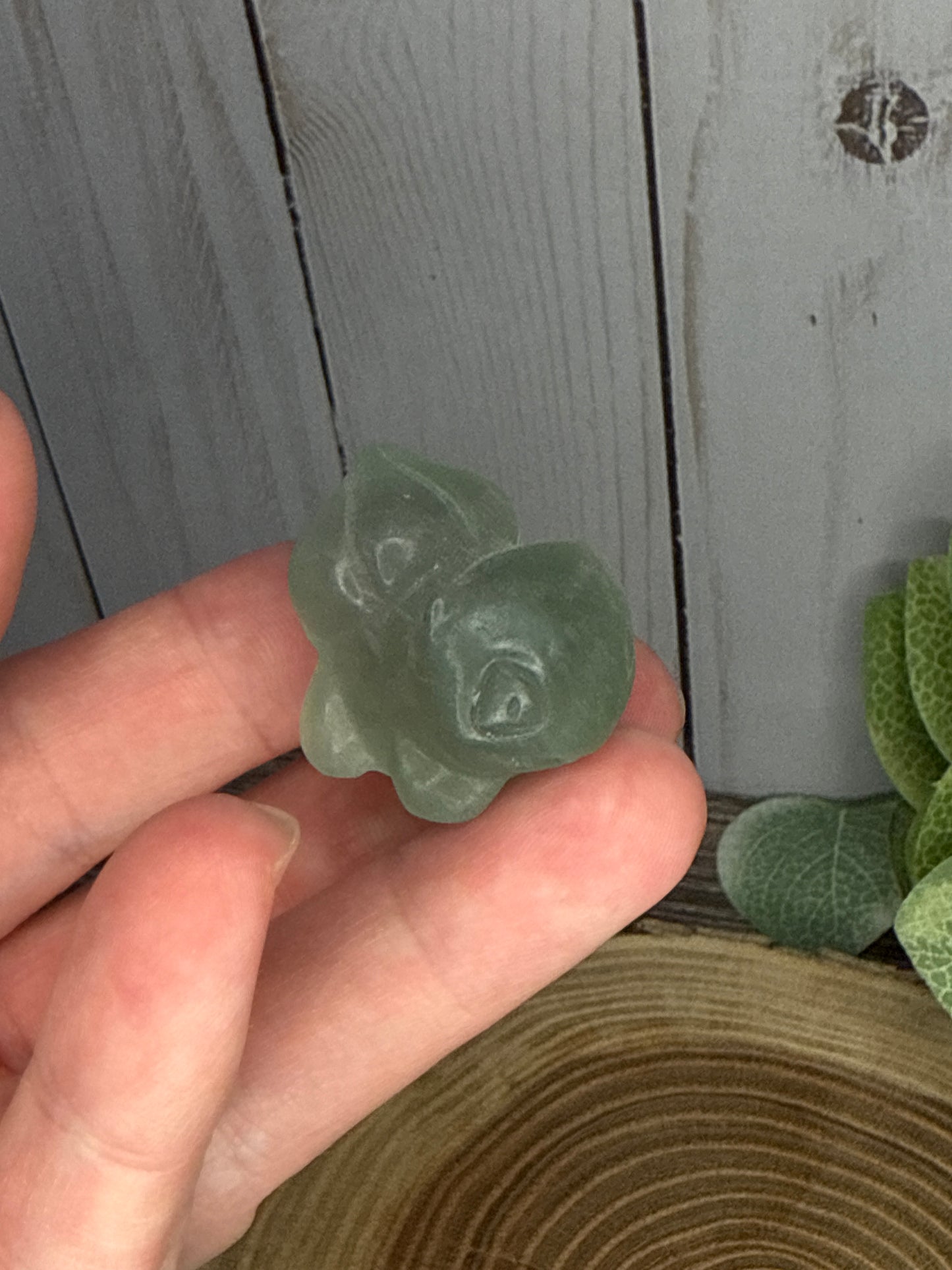 Bulbasaur Carving - Pokemon