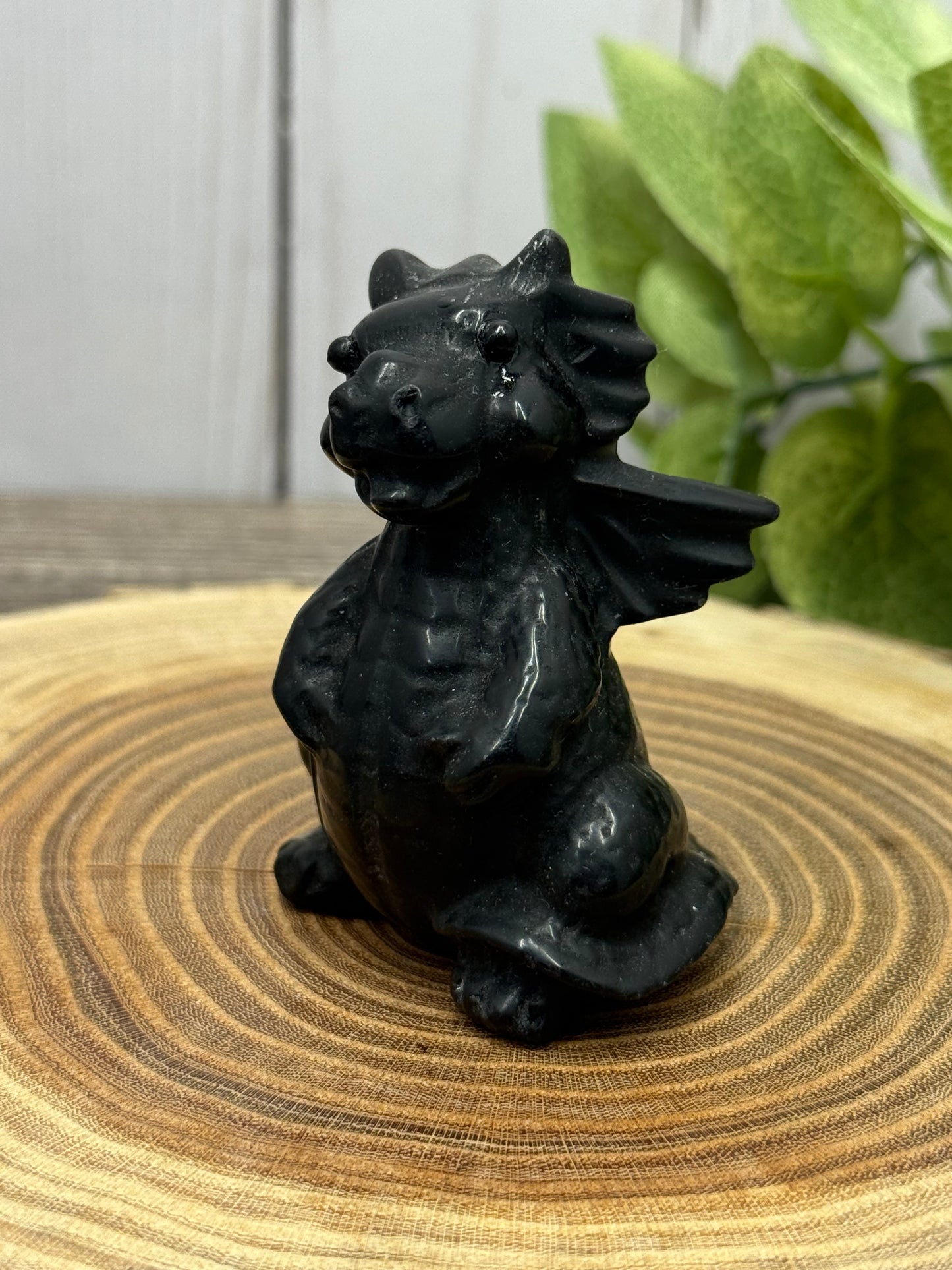 Baby Dragon - Small
