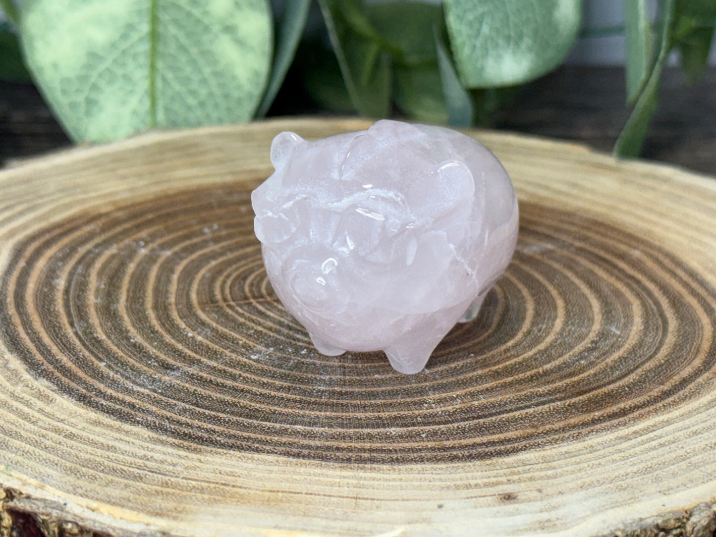 Pig with Mohawk Sunglasses - Rose Quartz