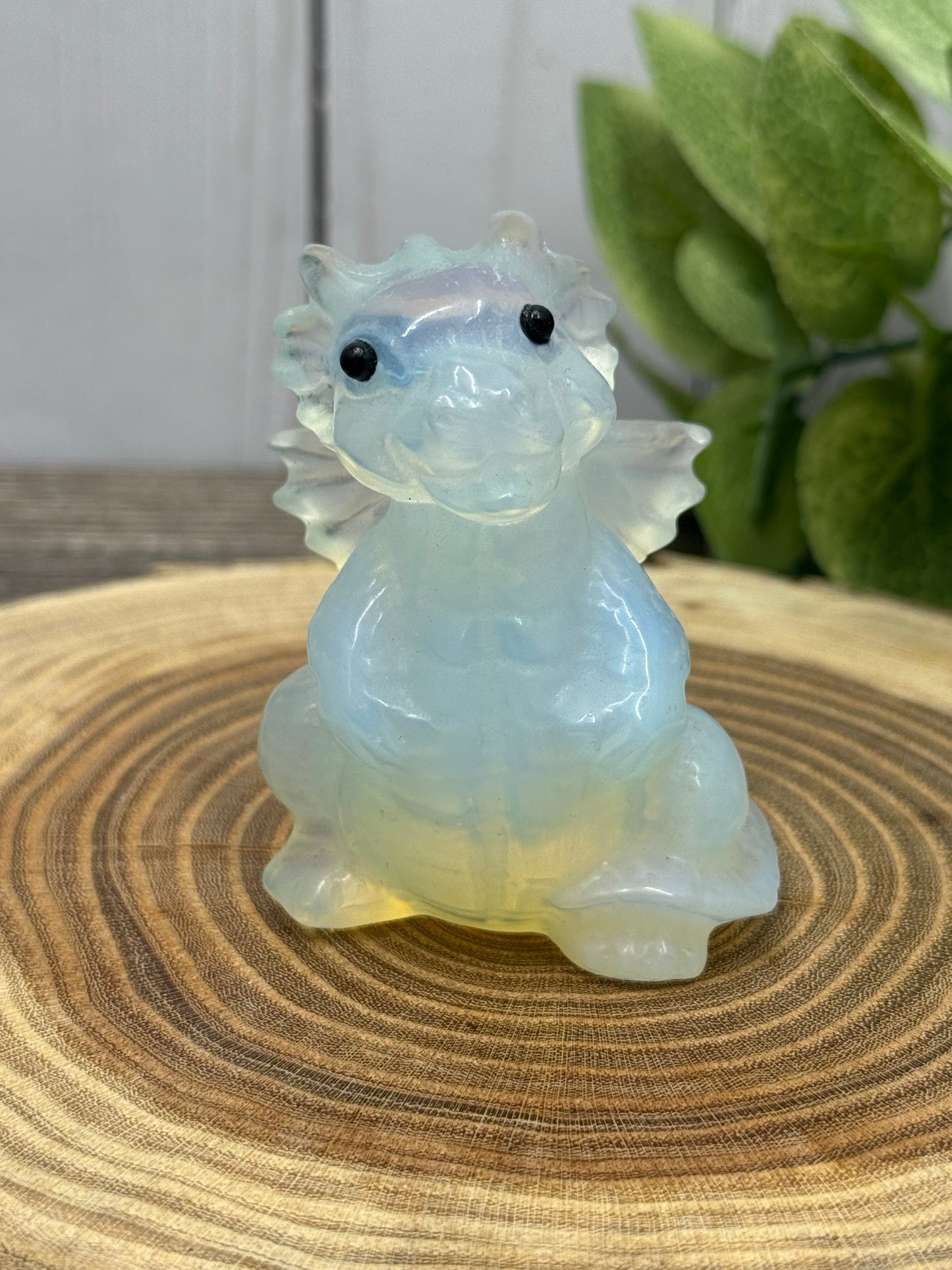 Baby Dragon - Small