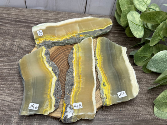 Bumblebee Jasper Slabs