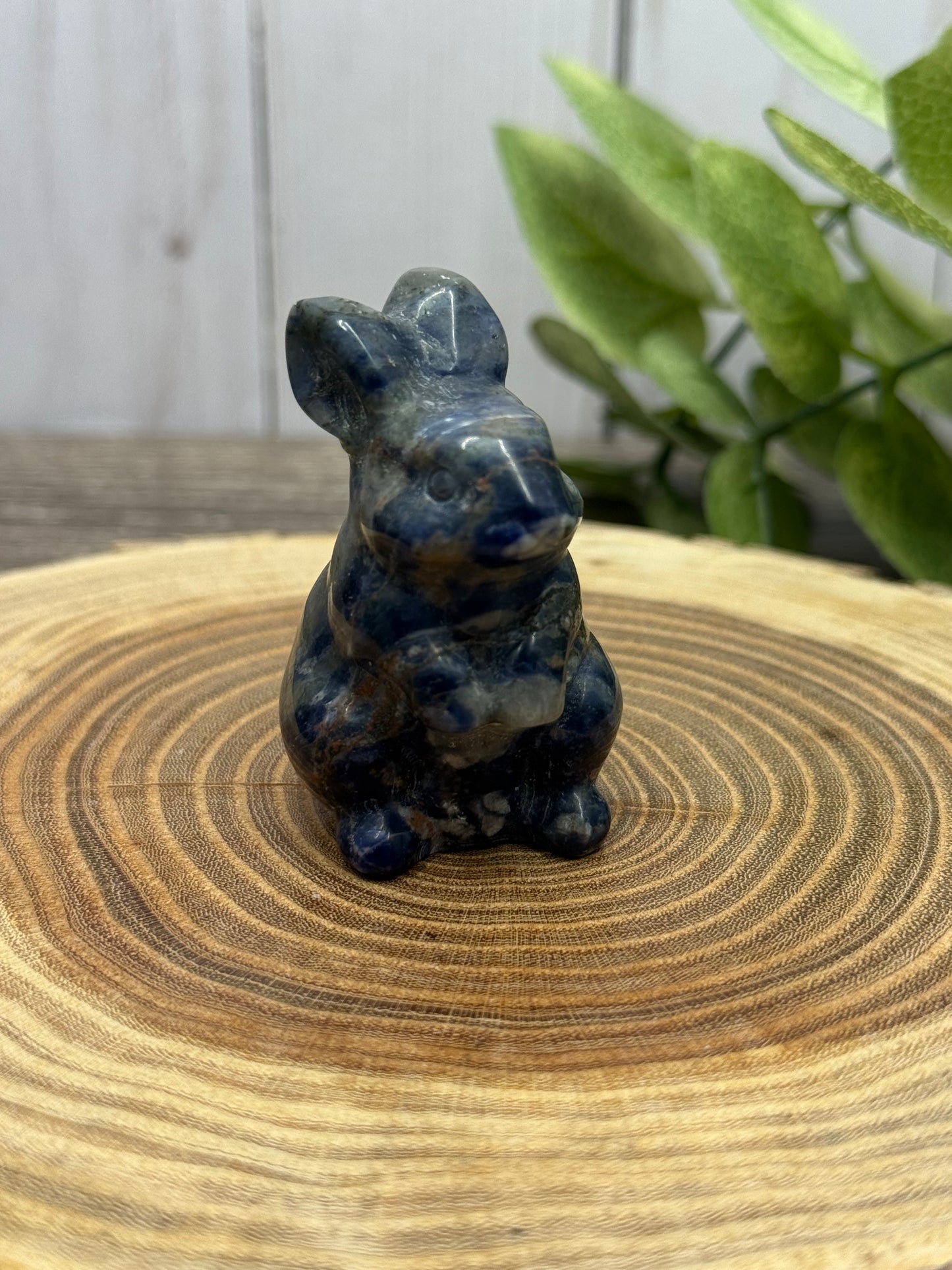 Rabbit Carvings