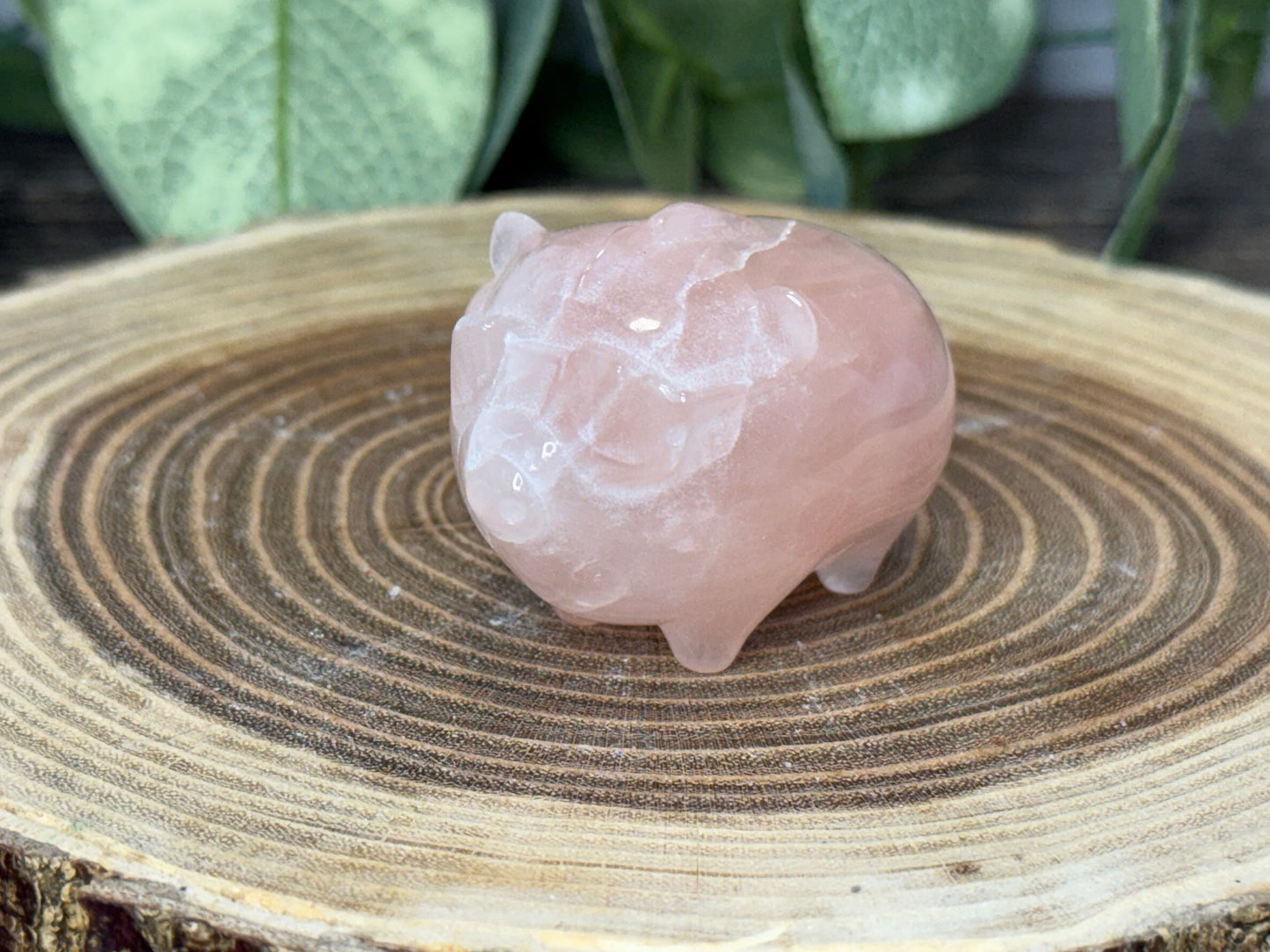 Pig with Mohawk Sunglasses - Rose Quartz