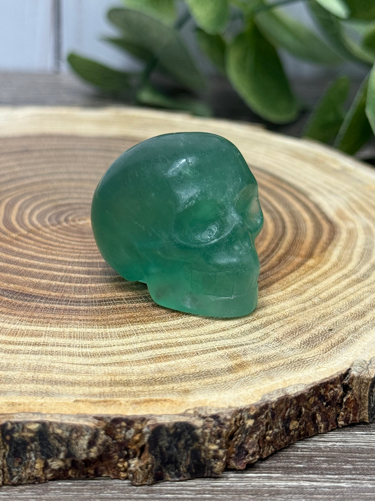Skull Carvings - small