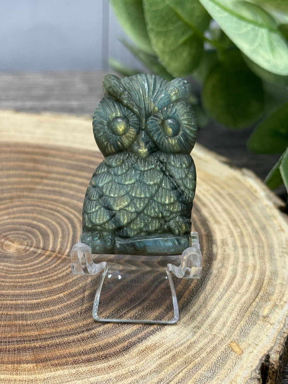 Owl - Labradorite Carvings