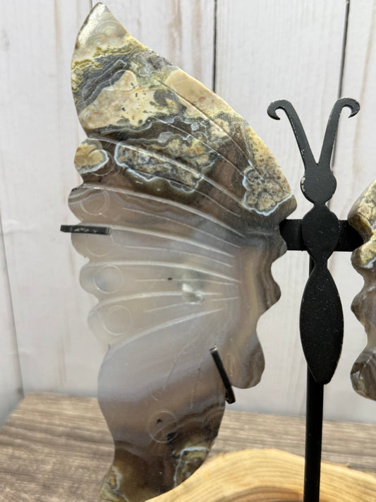 Large Butterfly Wings on Stand - Lava Agate