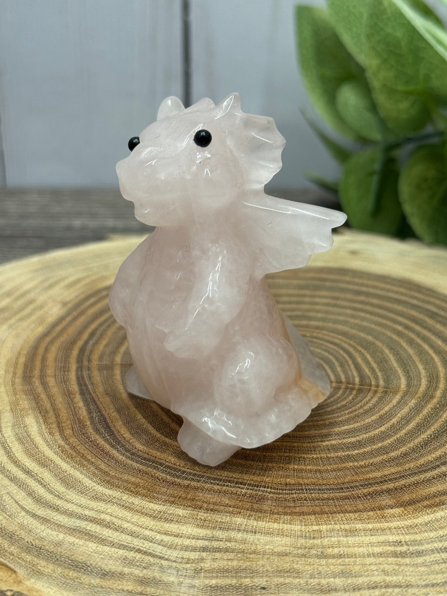 Baby Dragon - Small
