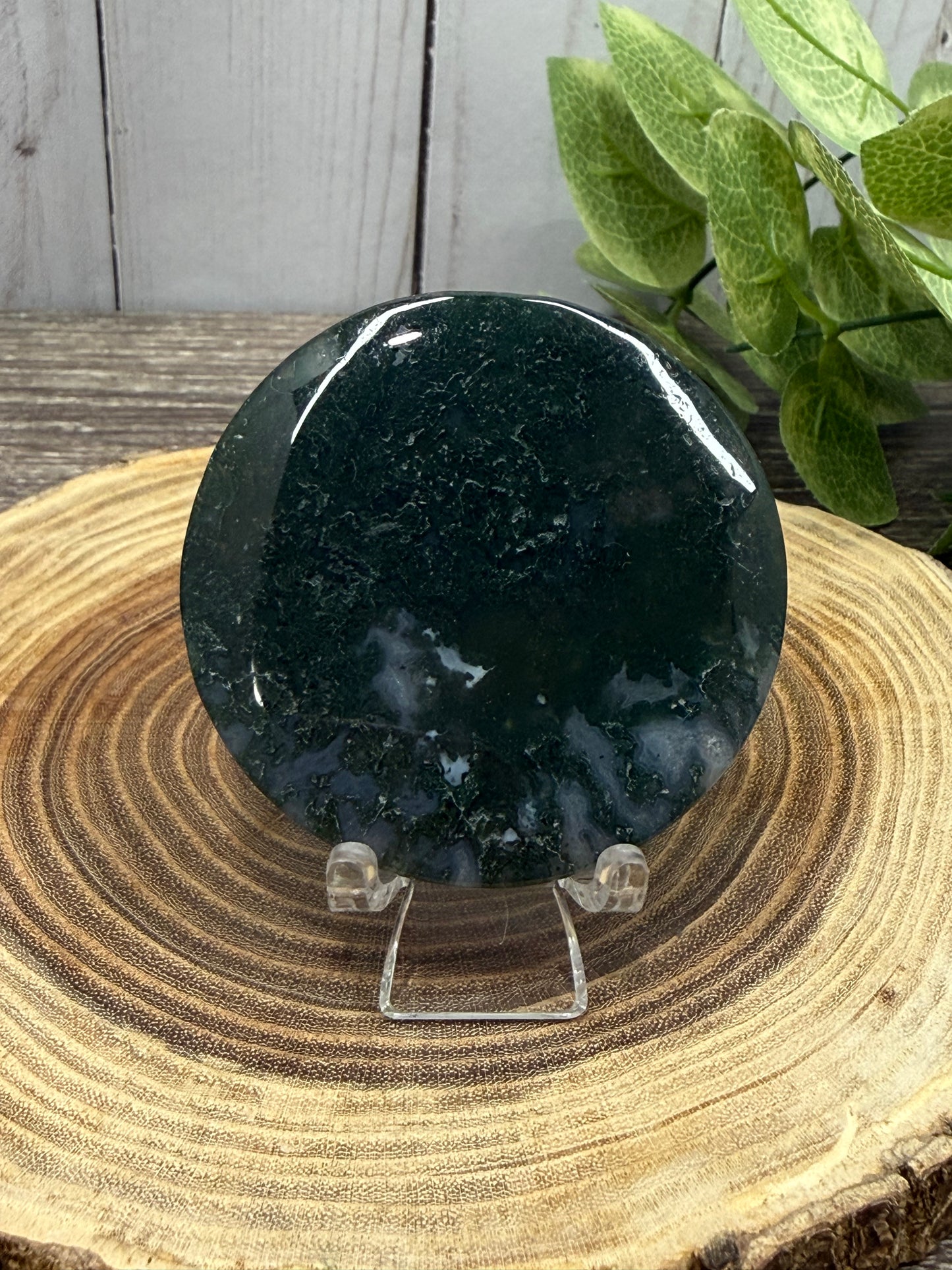 Moss Agate Small Disks