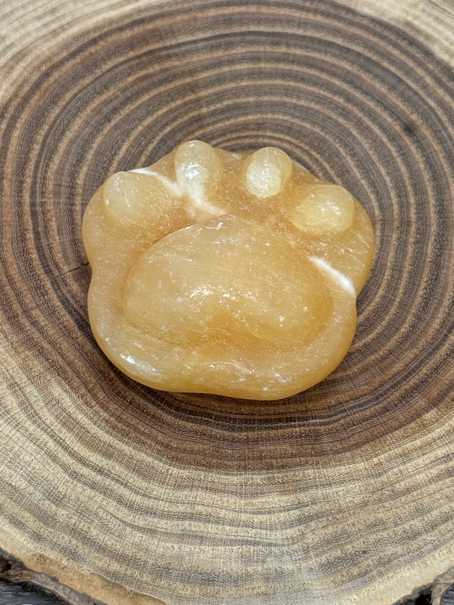Paw Print Carvings