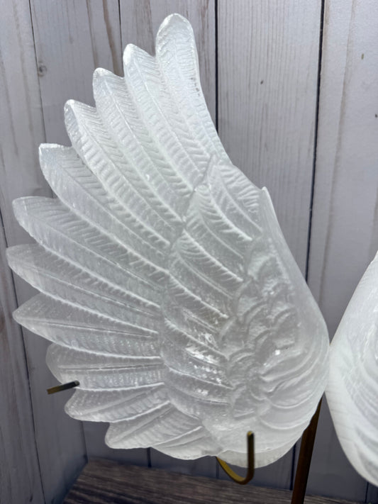 XL Selenite Wings with Stand