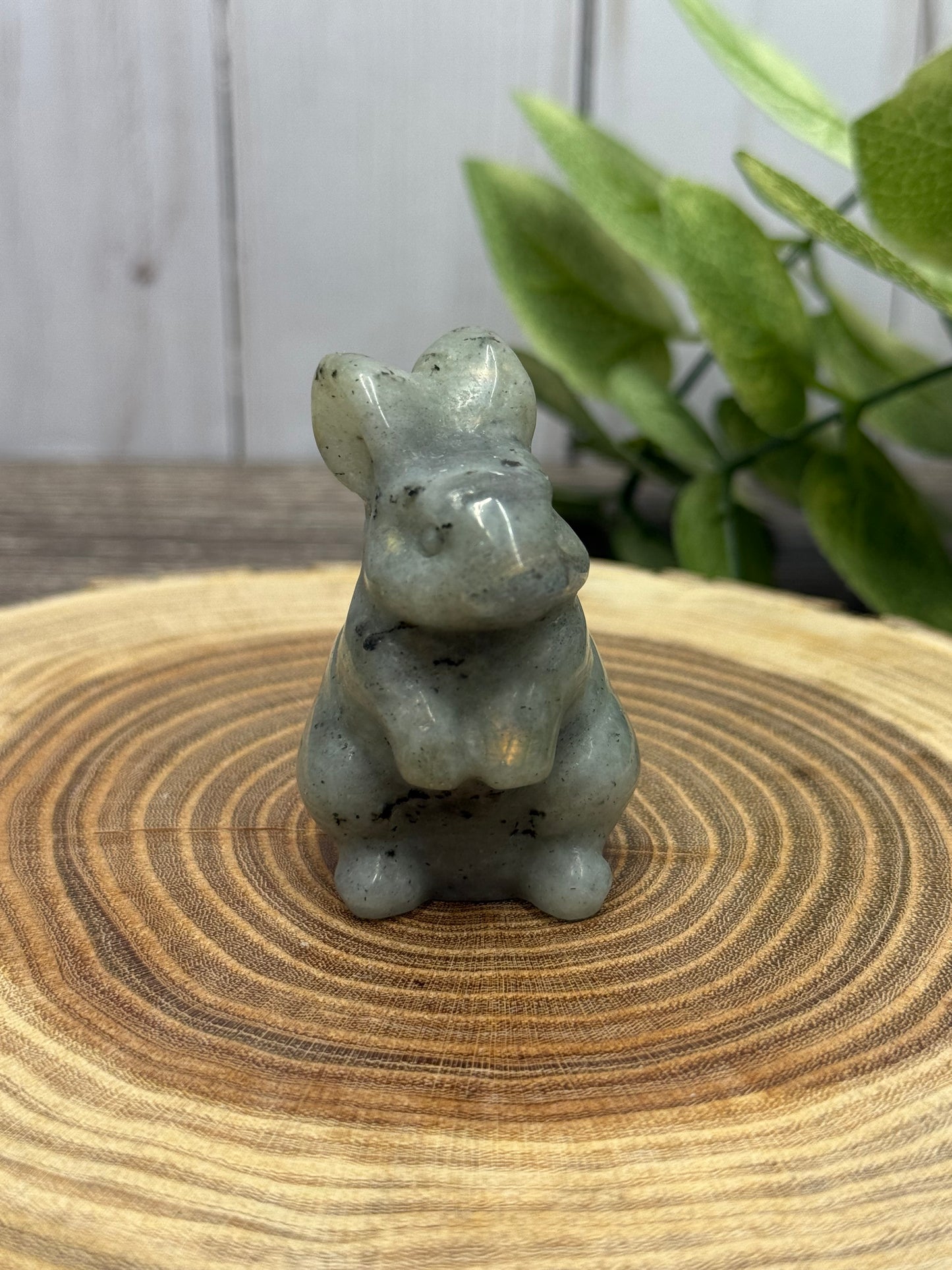 Rabbit Carvings