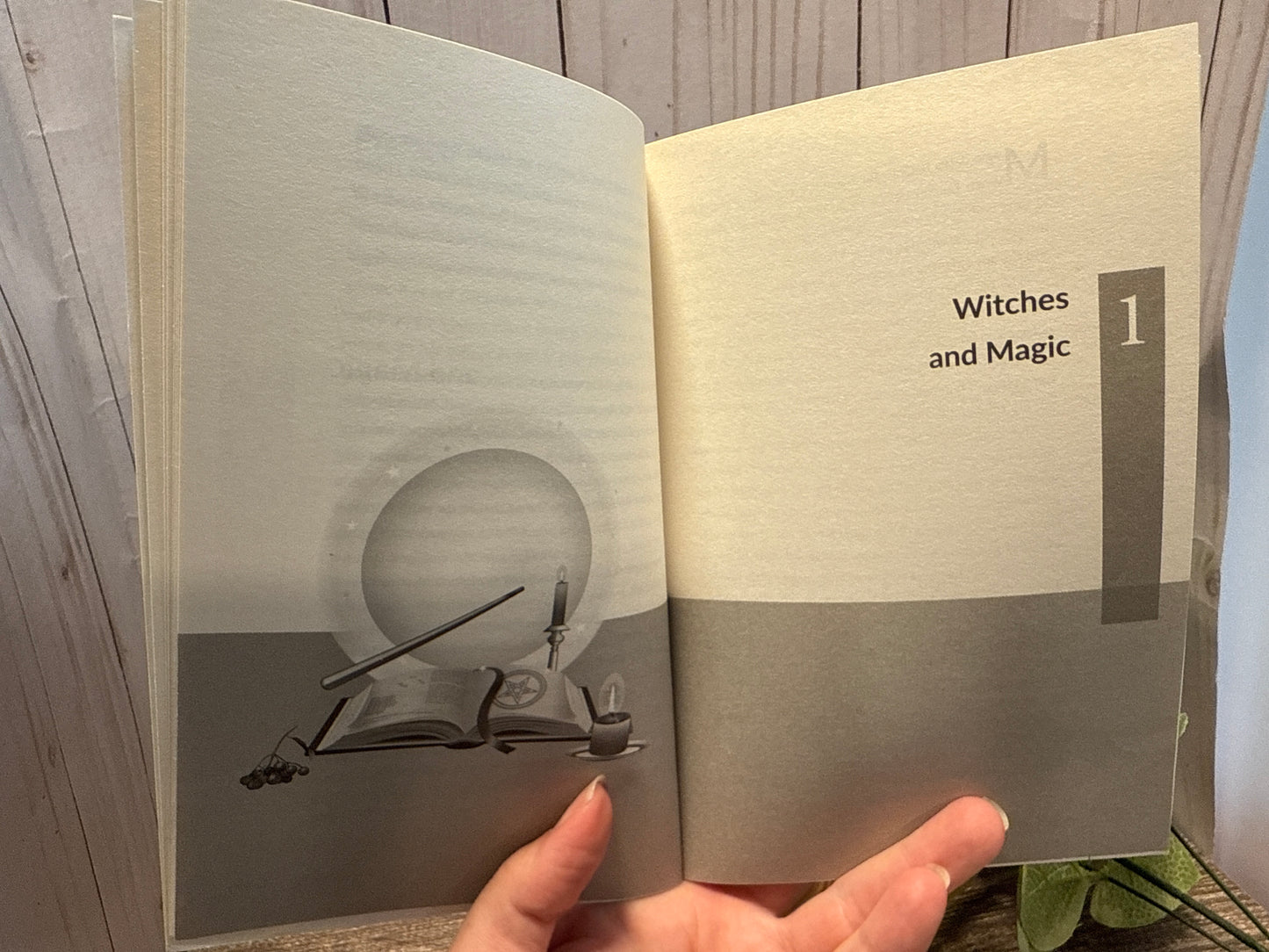 Wicca: Orion Plain and Simple