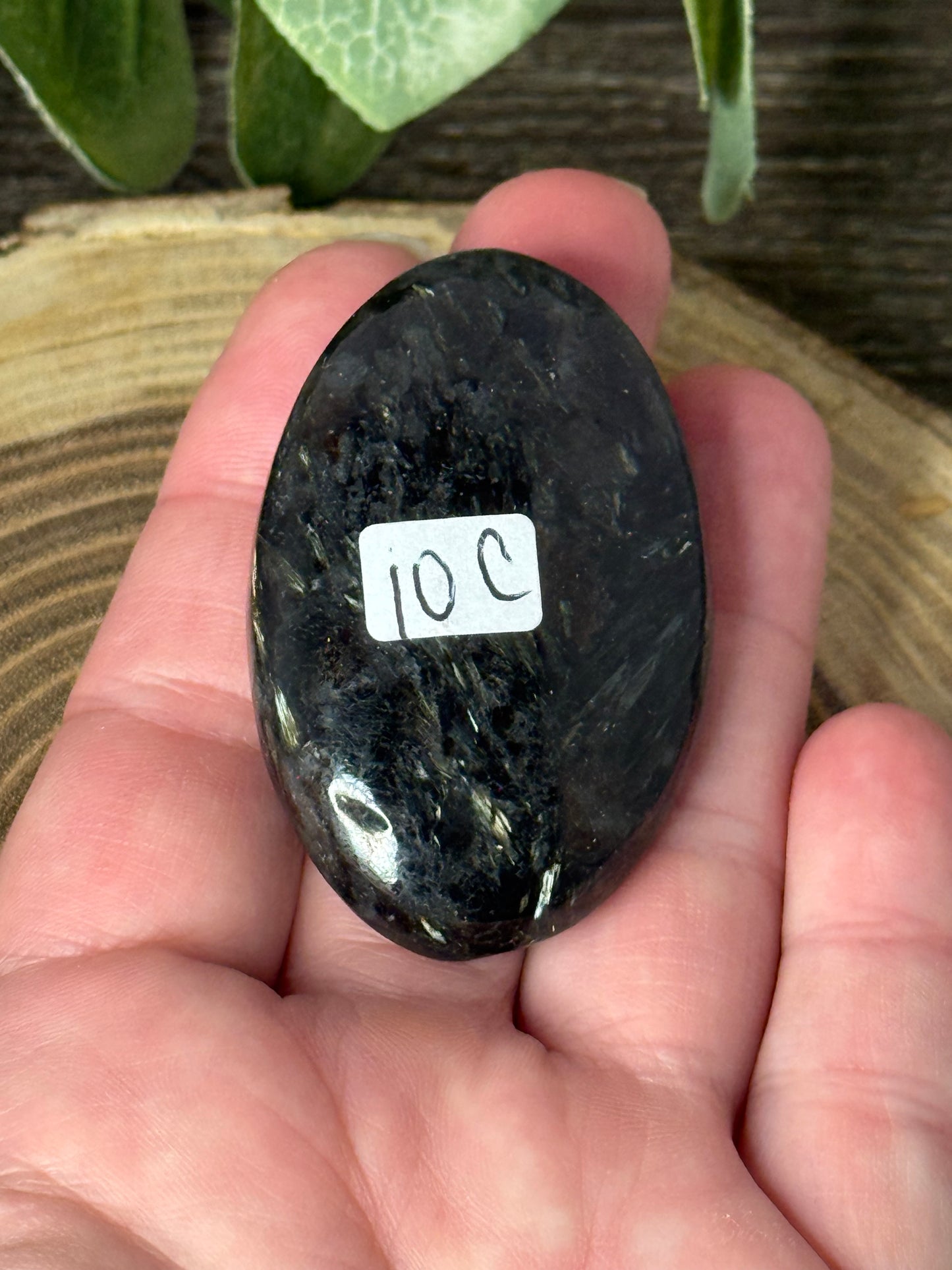 Garnet Palm Stone