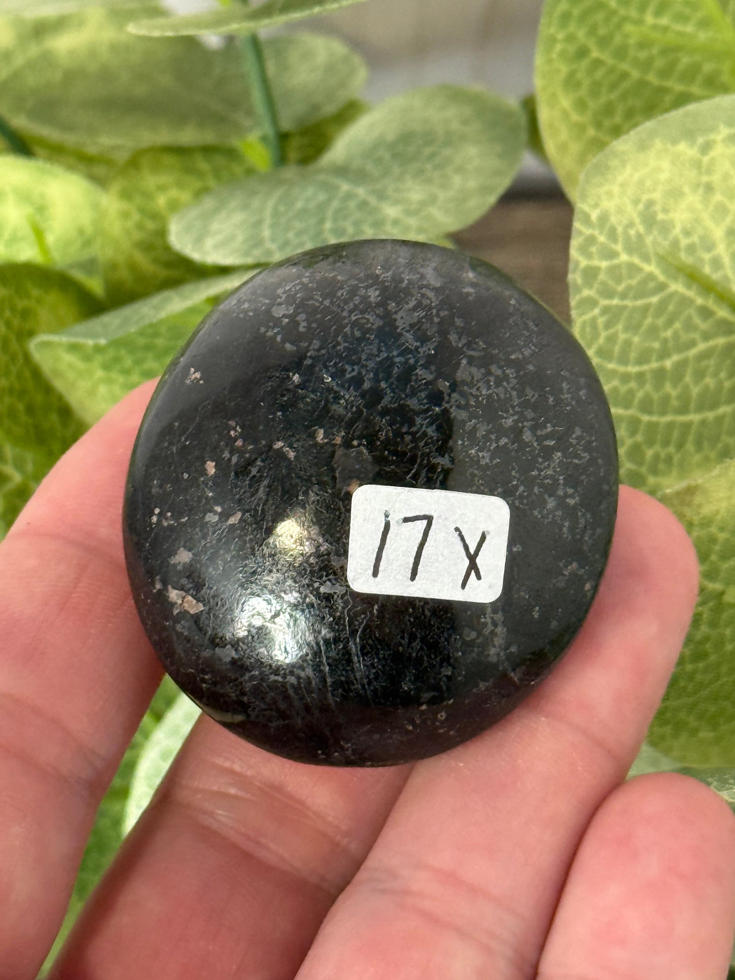 Shungite Palm Stones