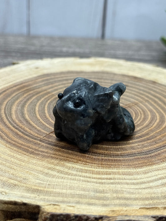 Baby Dragons