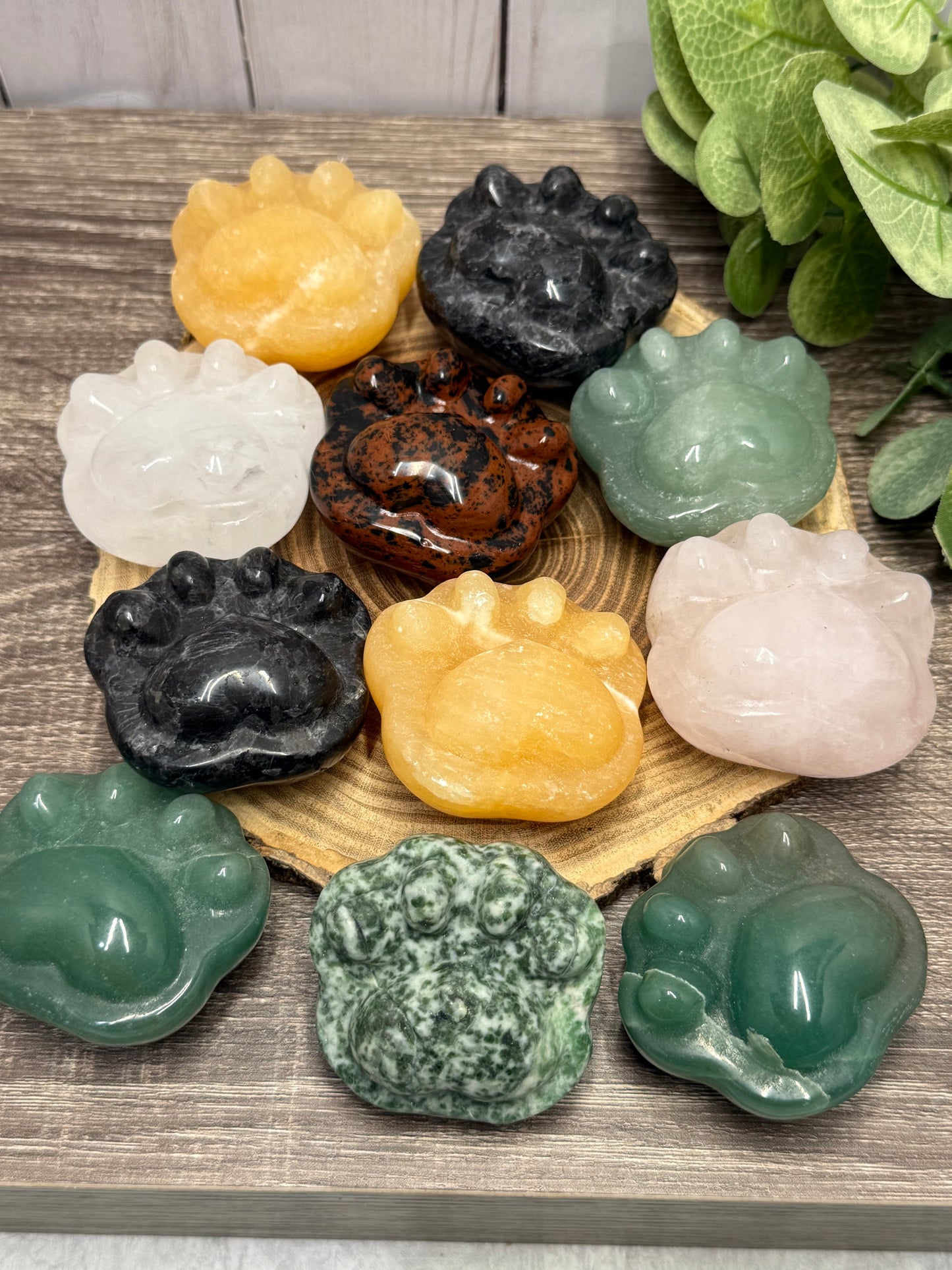 Paw Print Carvings