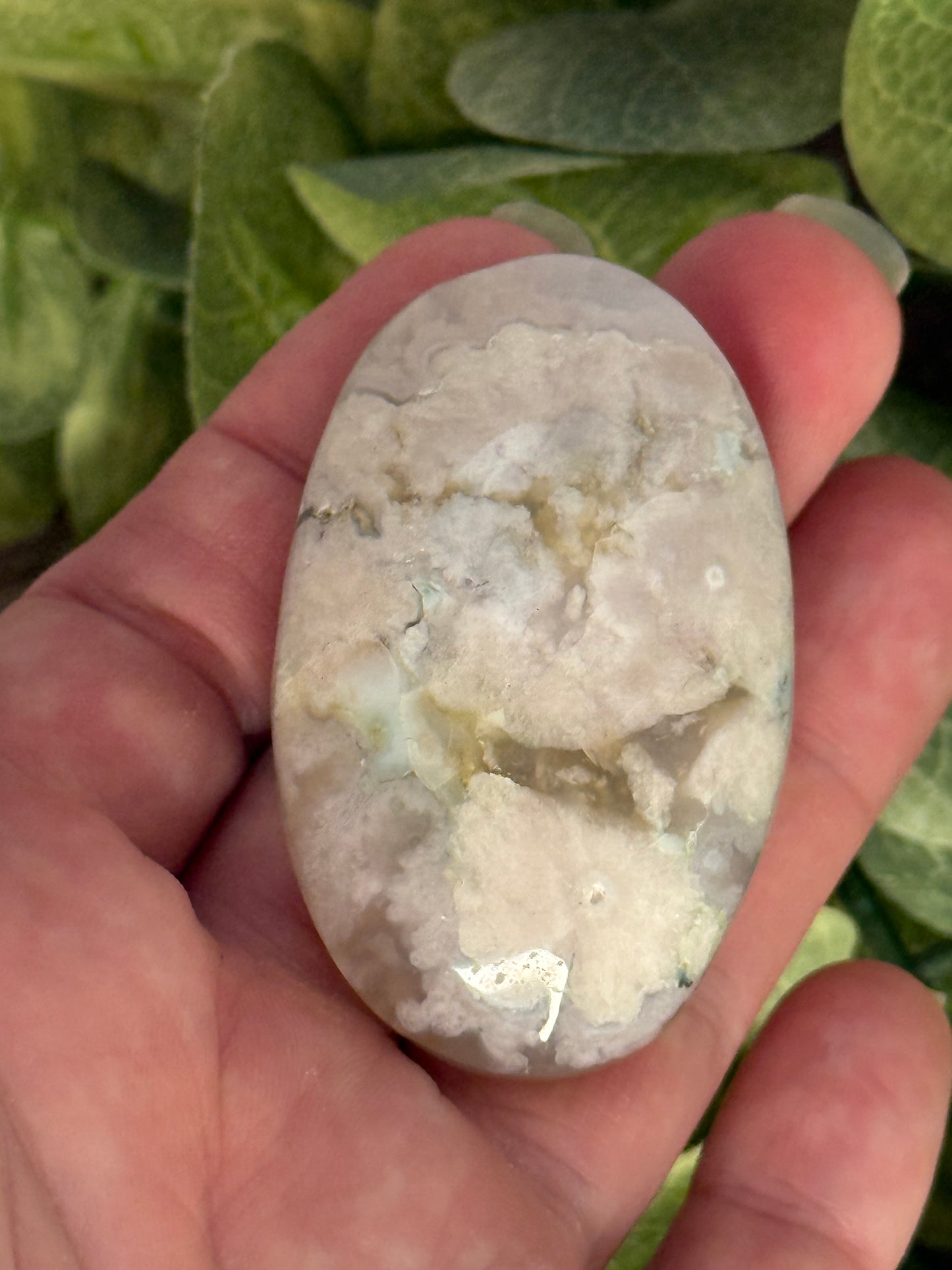 Flower Agate Palm Stones