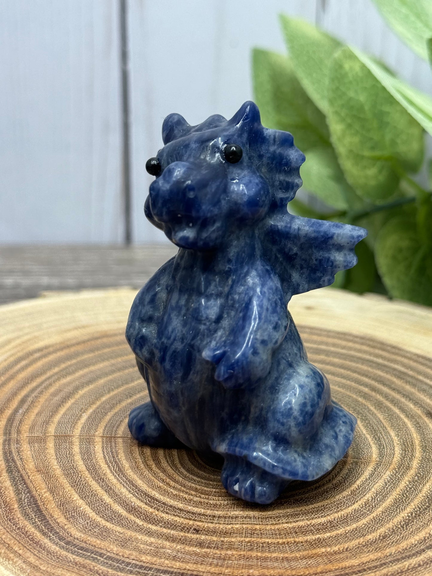 Baby Dragon - Small