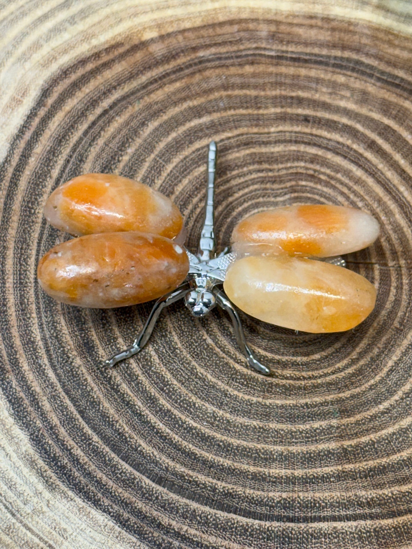 Dragonflies