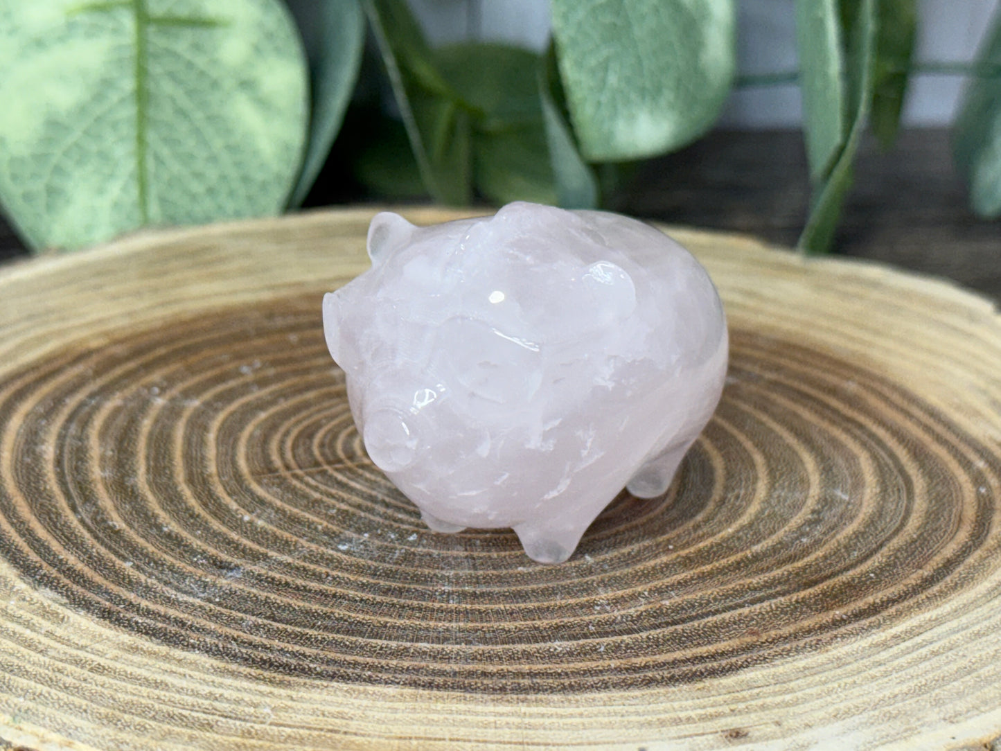 Pig with Mohawk Sunglasses - Rose Quartz