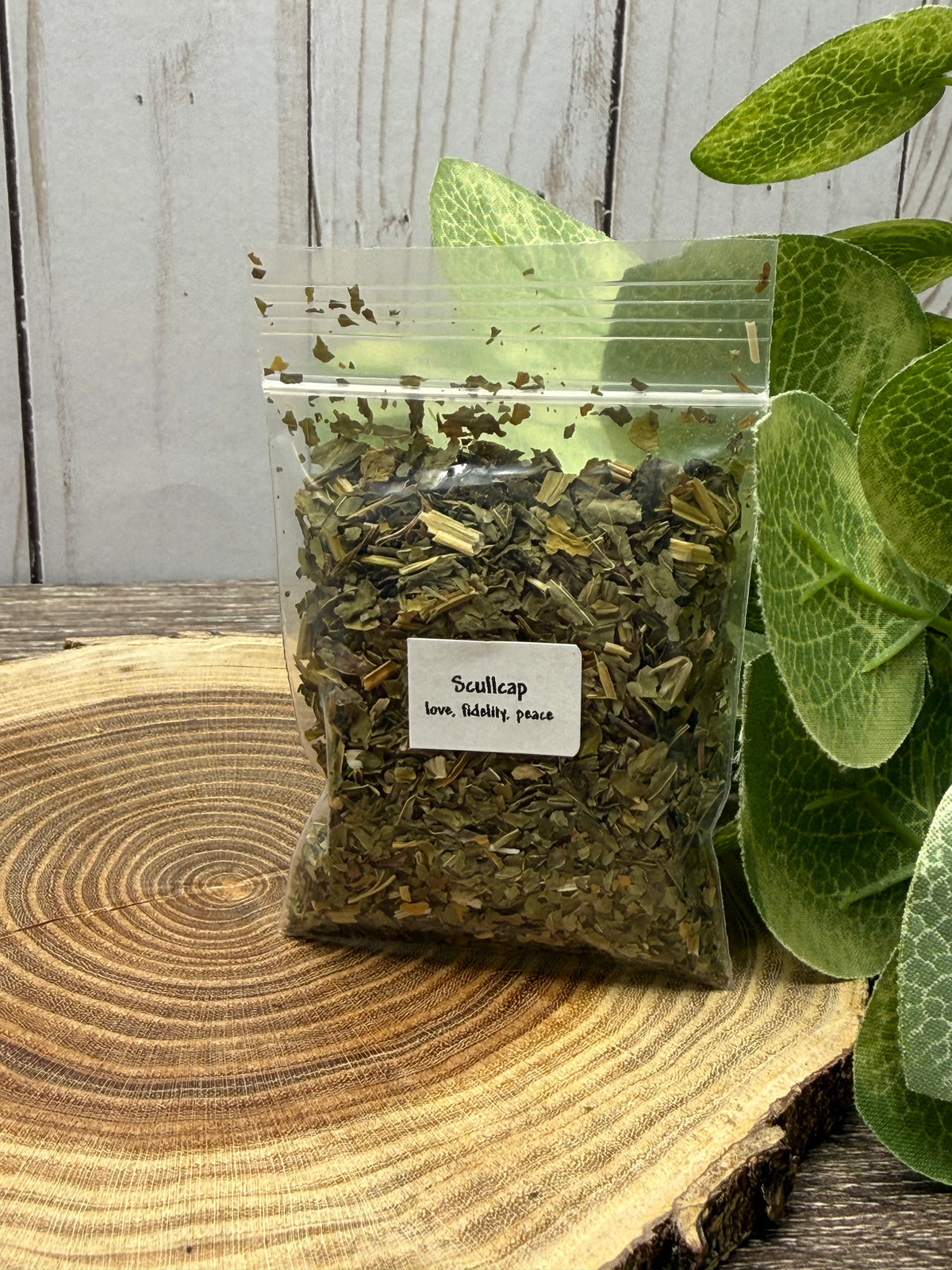 Skullcap - Magick Herbs (Bagged)