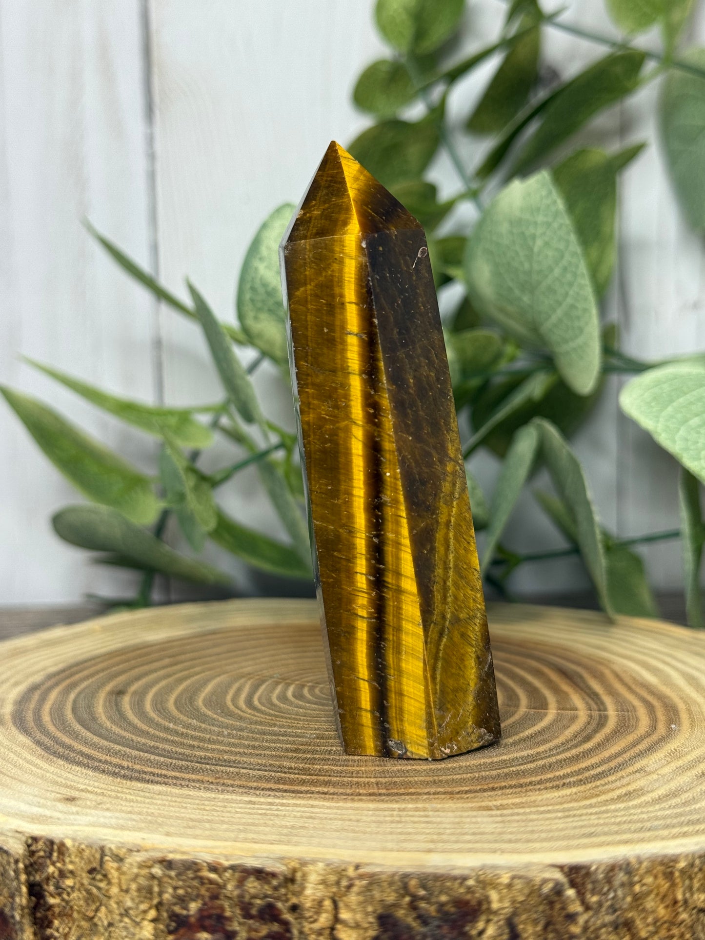 Tigers Eye - Yellow Towers
