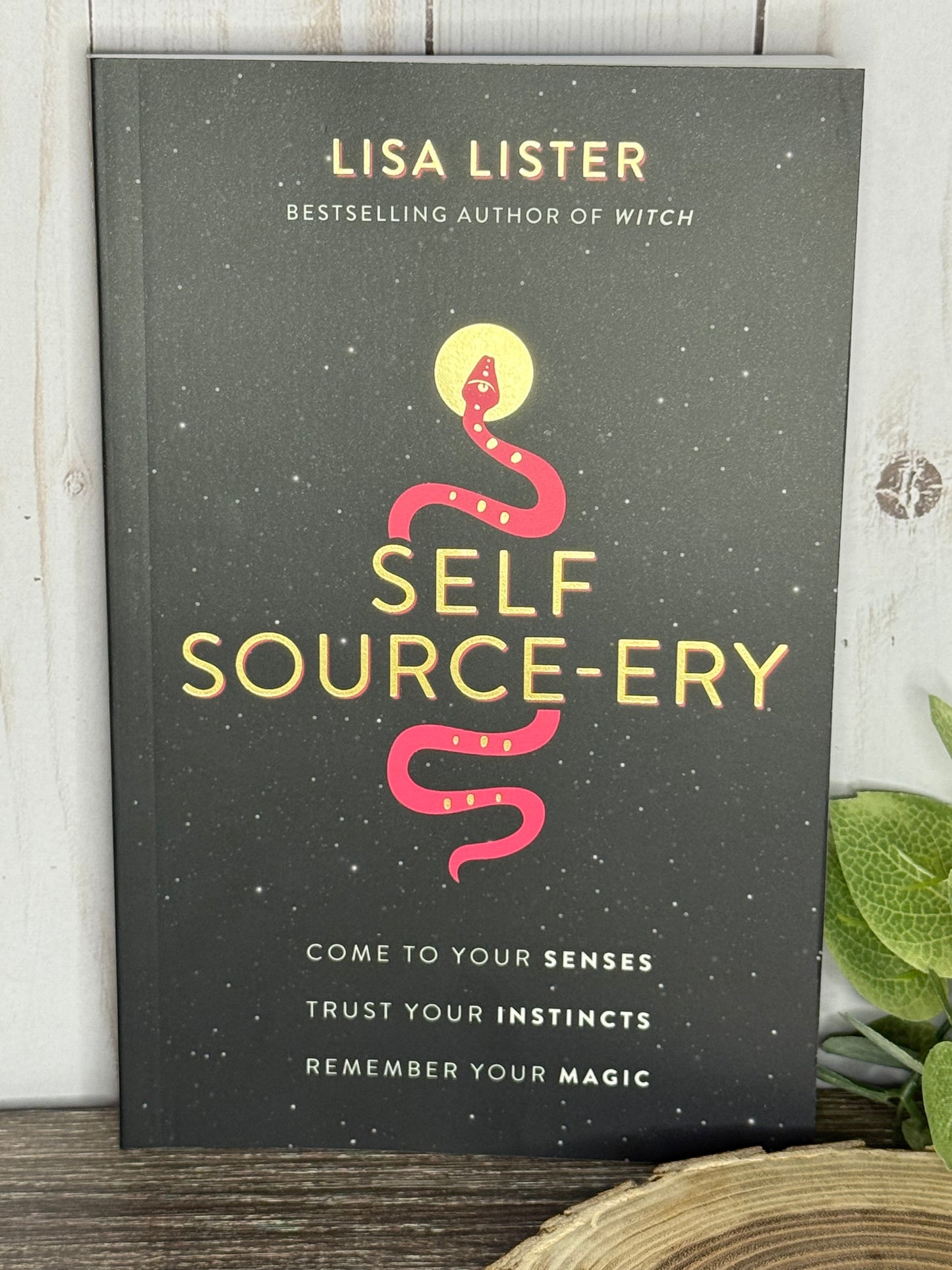Self Source-ery: Come to your Senses, Trust your Instincts, Remember your Magic