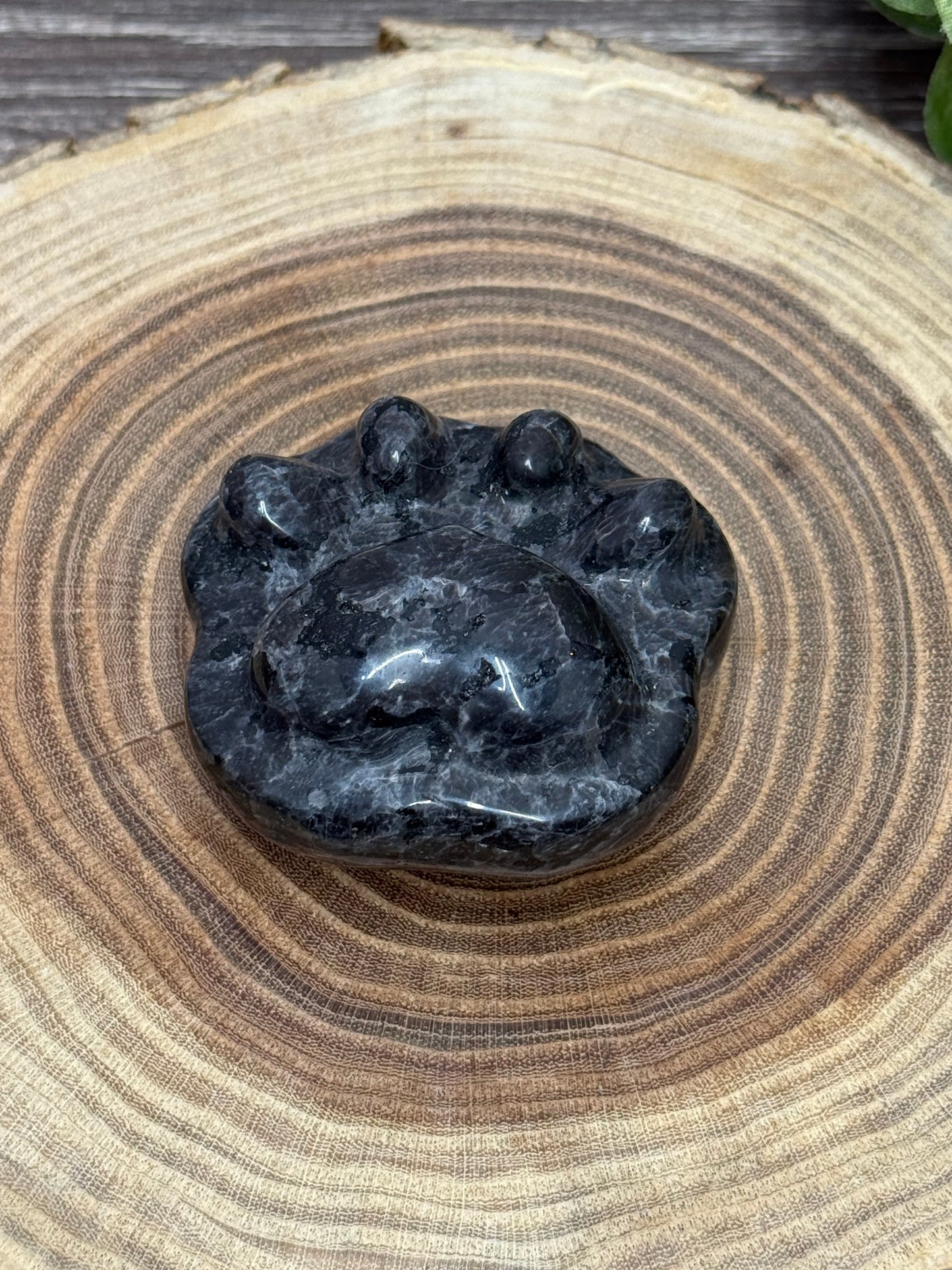Paw Print Carvings