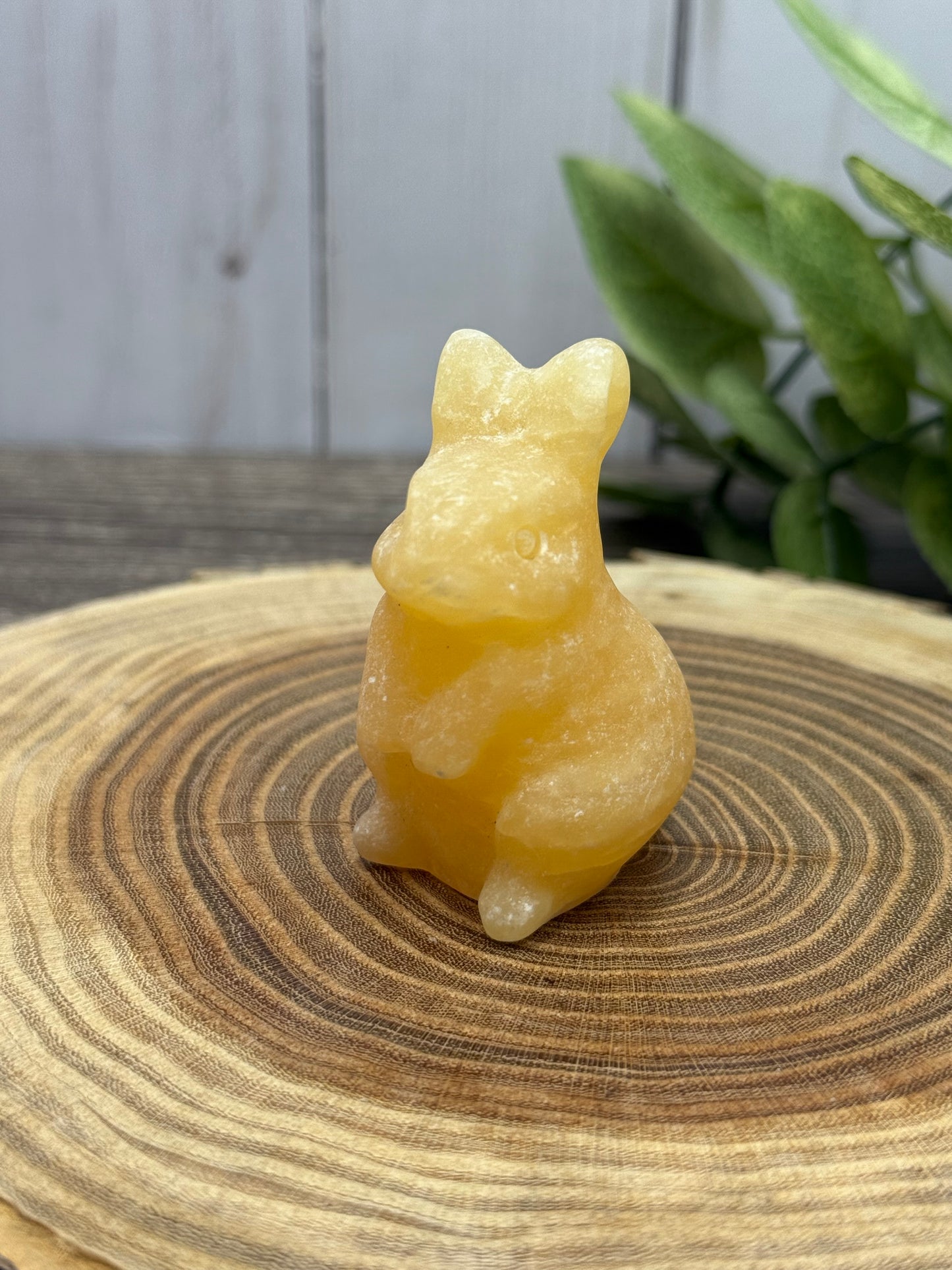 Rabbit Carvings