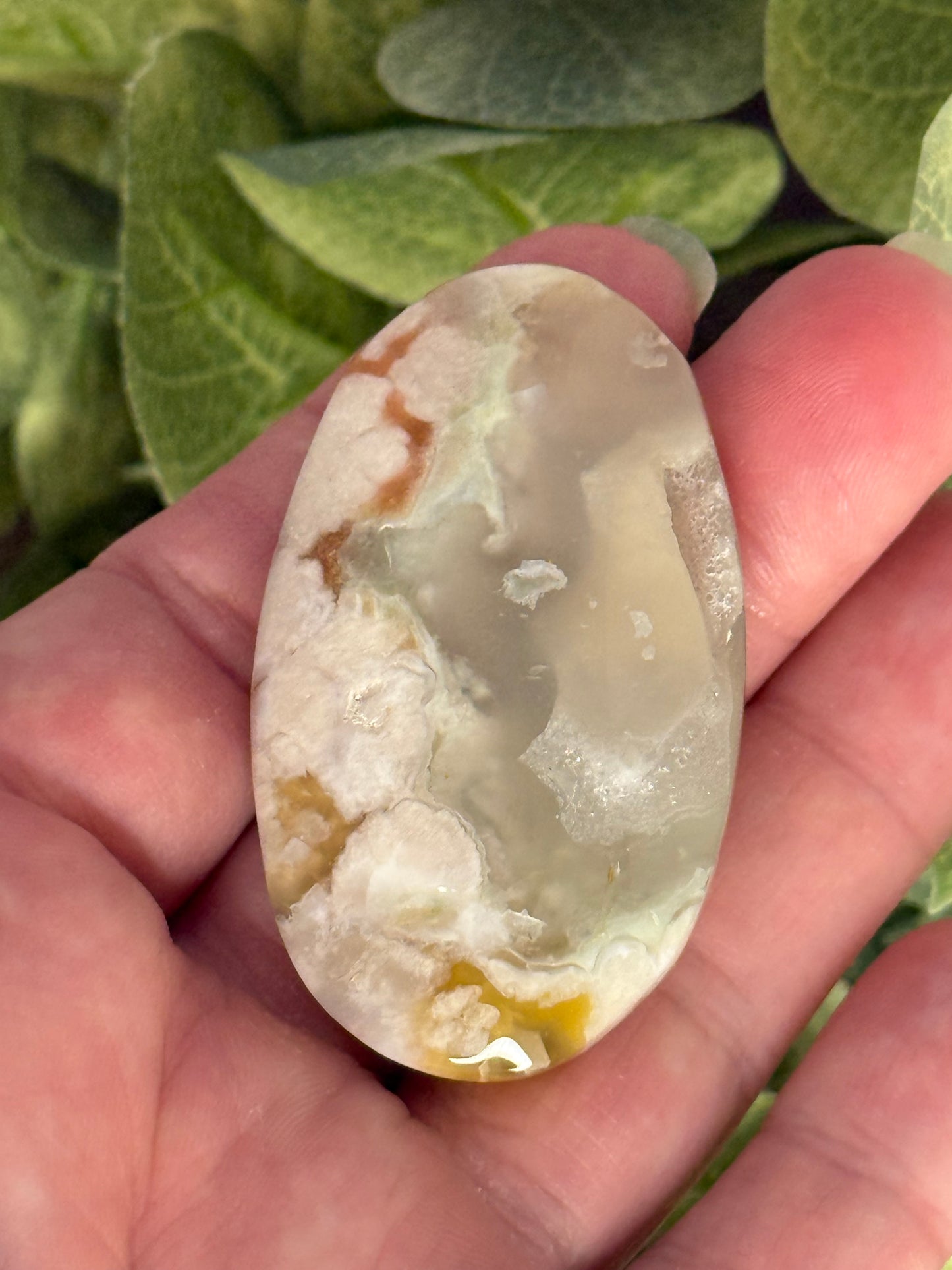 Flower Agate Palm Stones