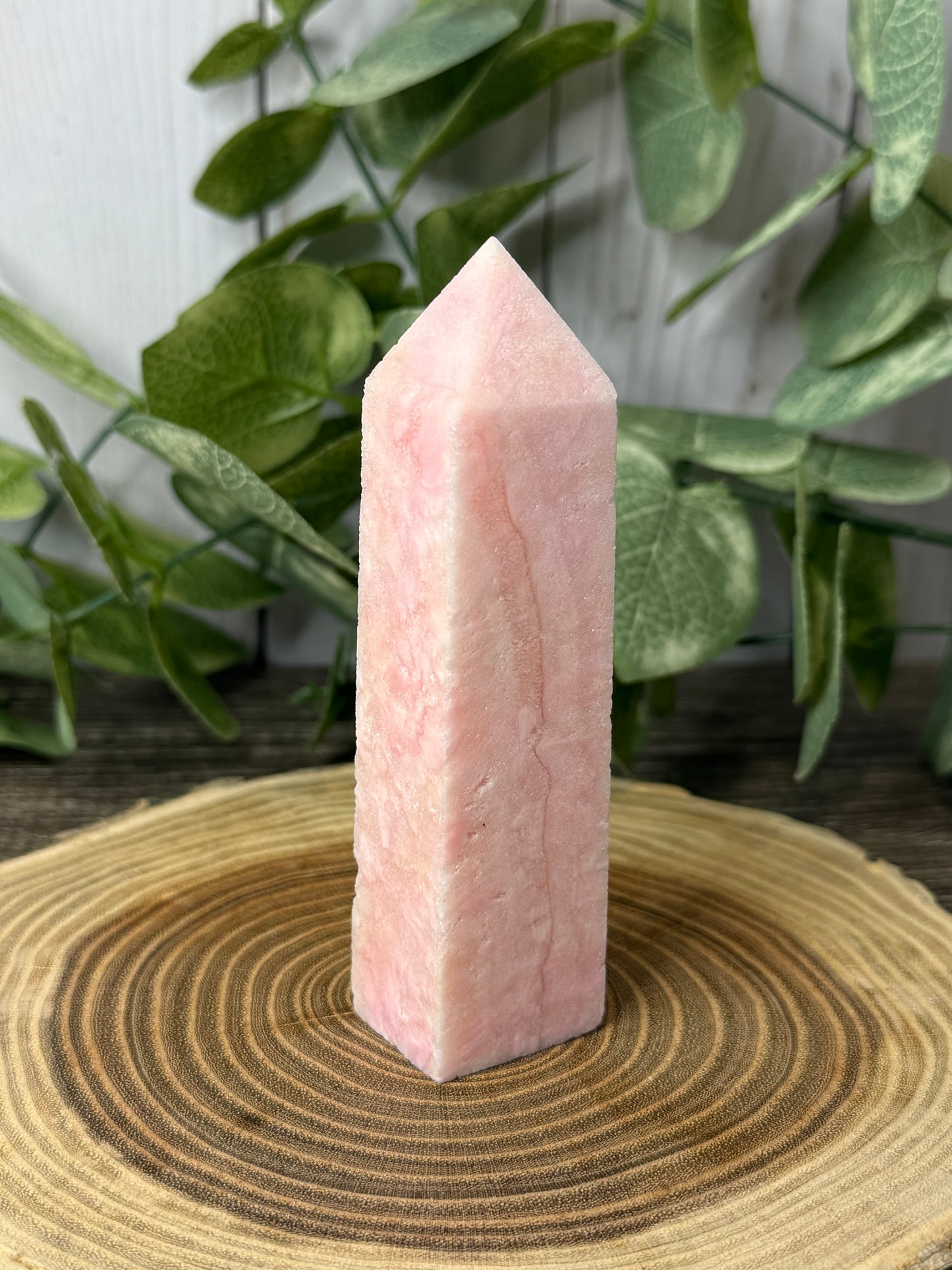 Aragonite Towers - Keep out of direct light, will fade